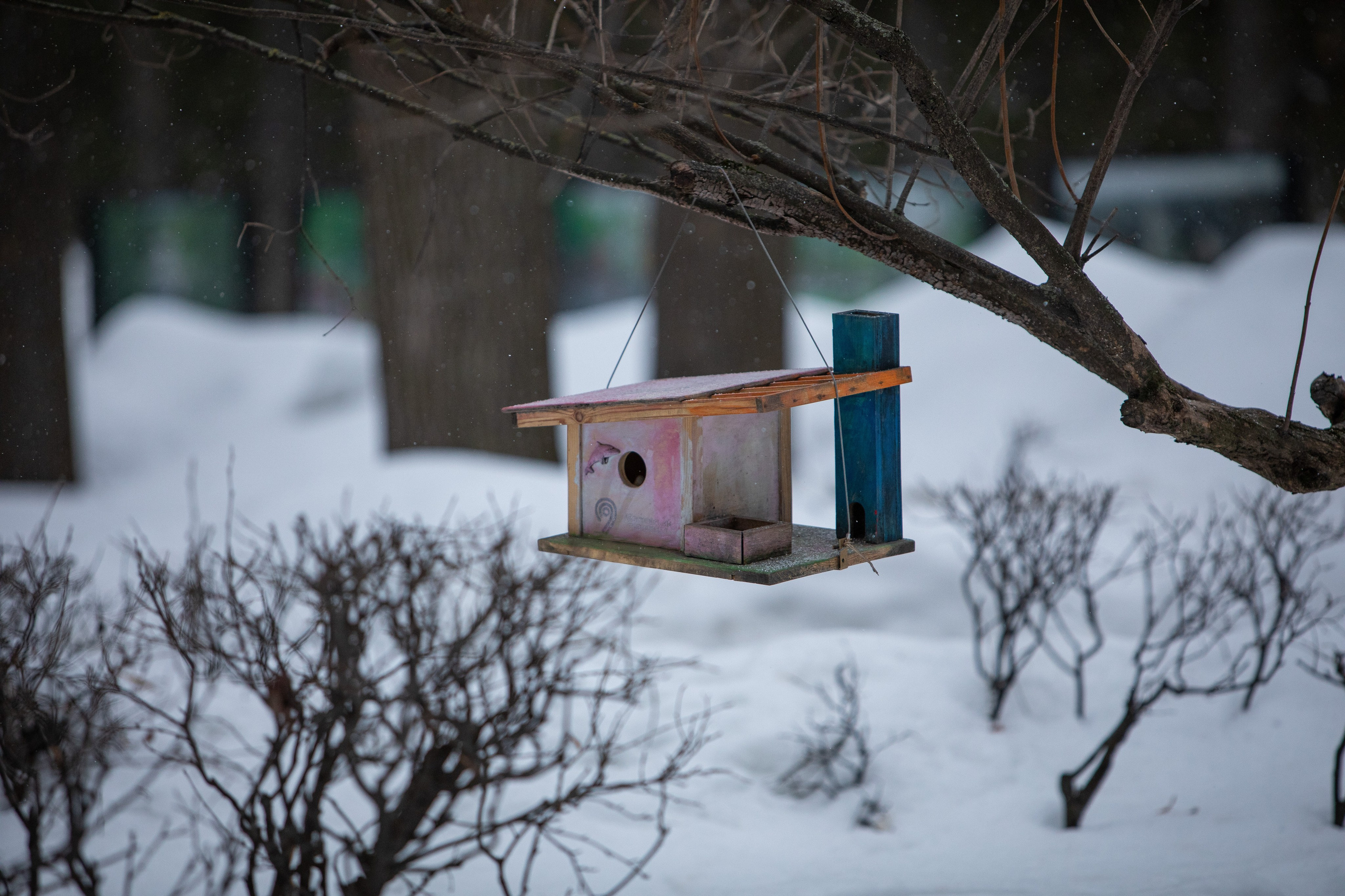 Забег 8 Марта, Речной вокзал. Фотограф Сергей Ловкий