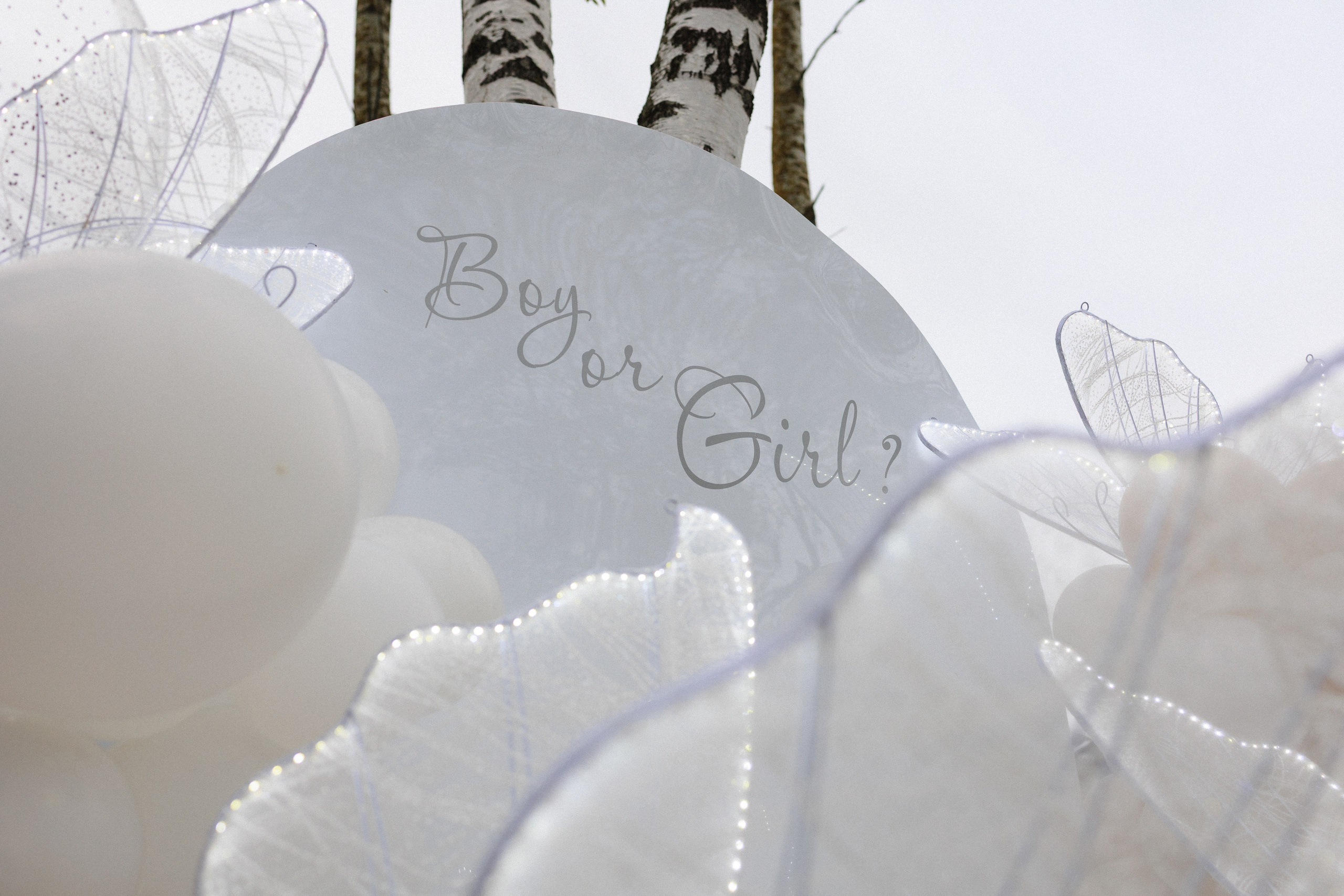 Валик & Настя | Gender Party. Свадебный фотограф в Минске Владислав Бабич