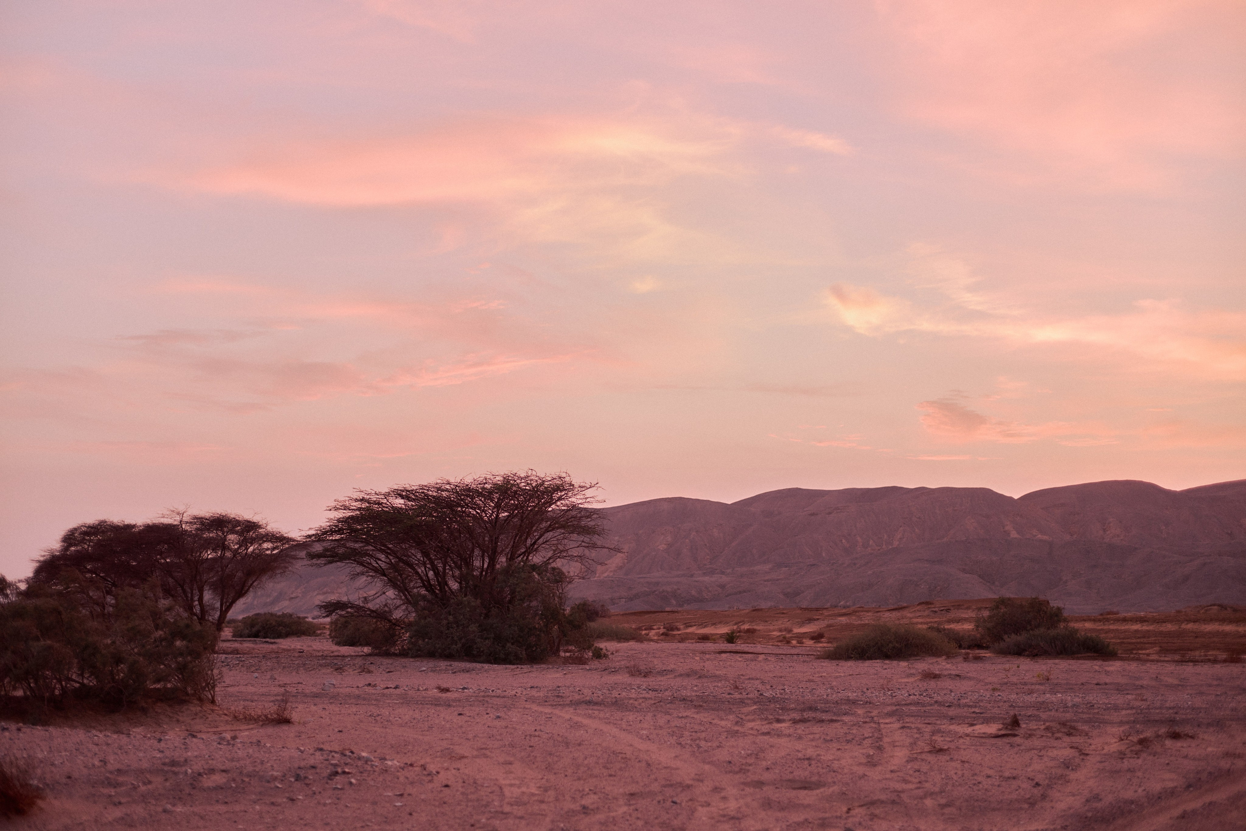 Улица горизонтальная. Jorgis — фотограф в Хургаде / обучение фотографии