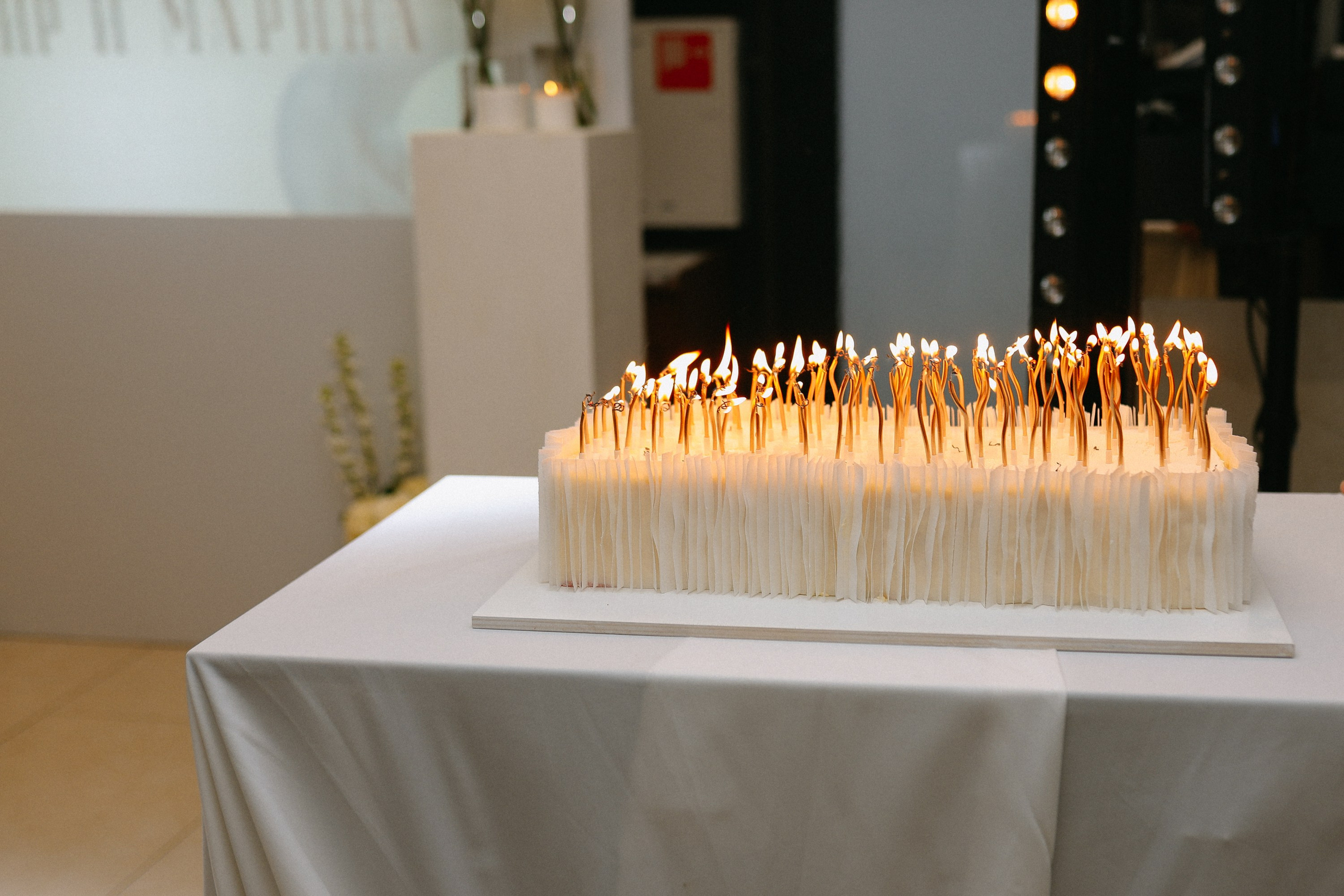 Юбилей VM. Свадебный фотограф Волгоград и Волжский Евгения Кимлач