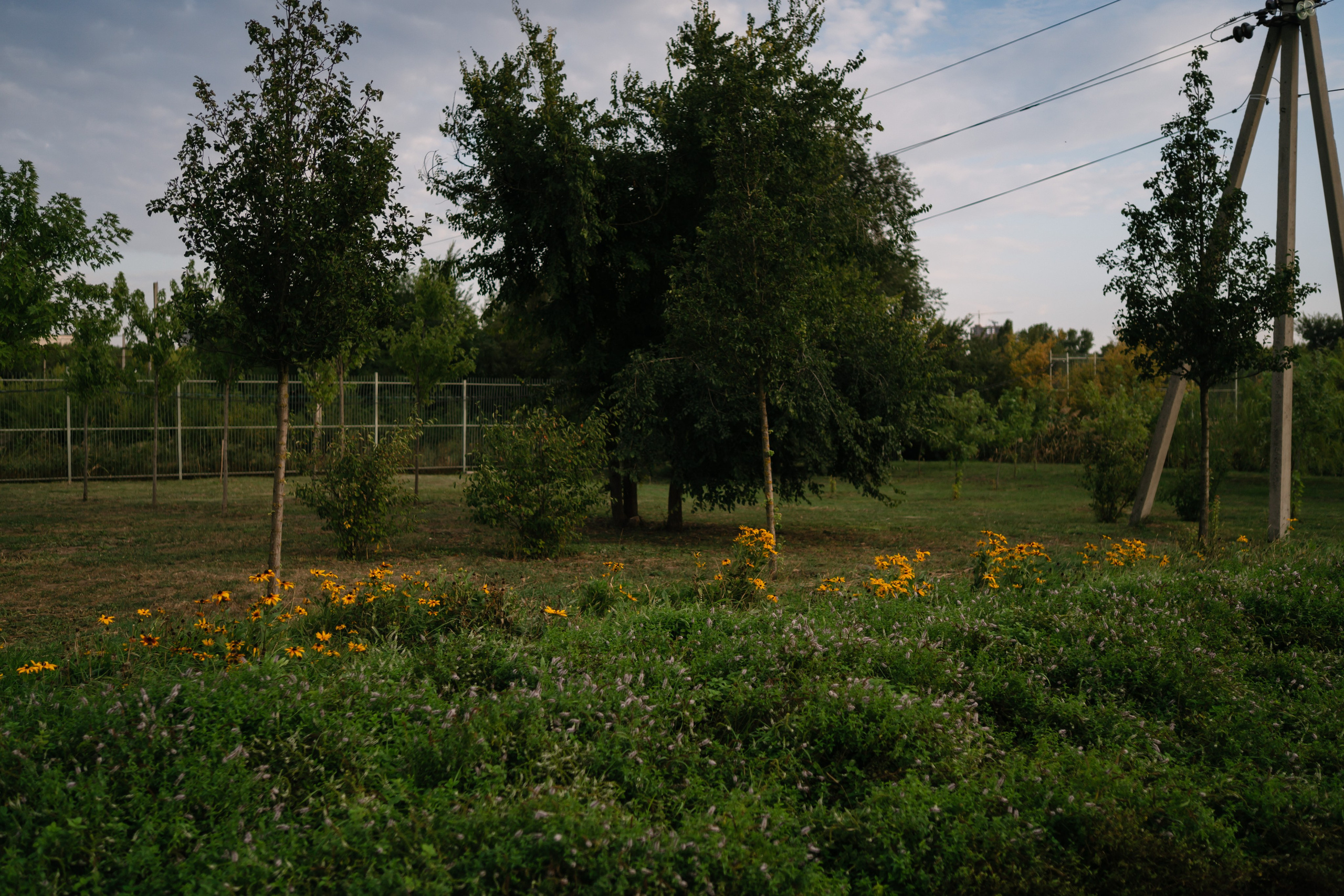 Локации для школьных съемок. Семейный фотограф и видеограф Ростов-на-Дону