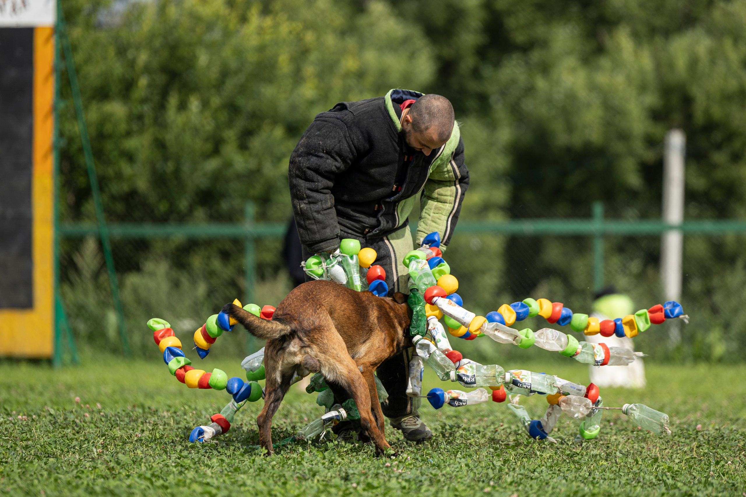 Соревнования по Мондьорингу г. Вологда 10-11.08.2024. Фотограф-анималист Анна Маринич