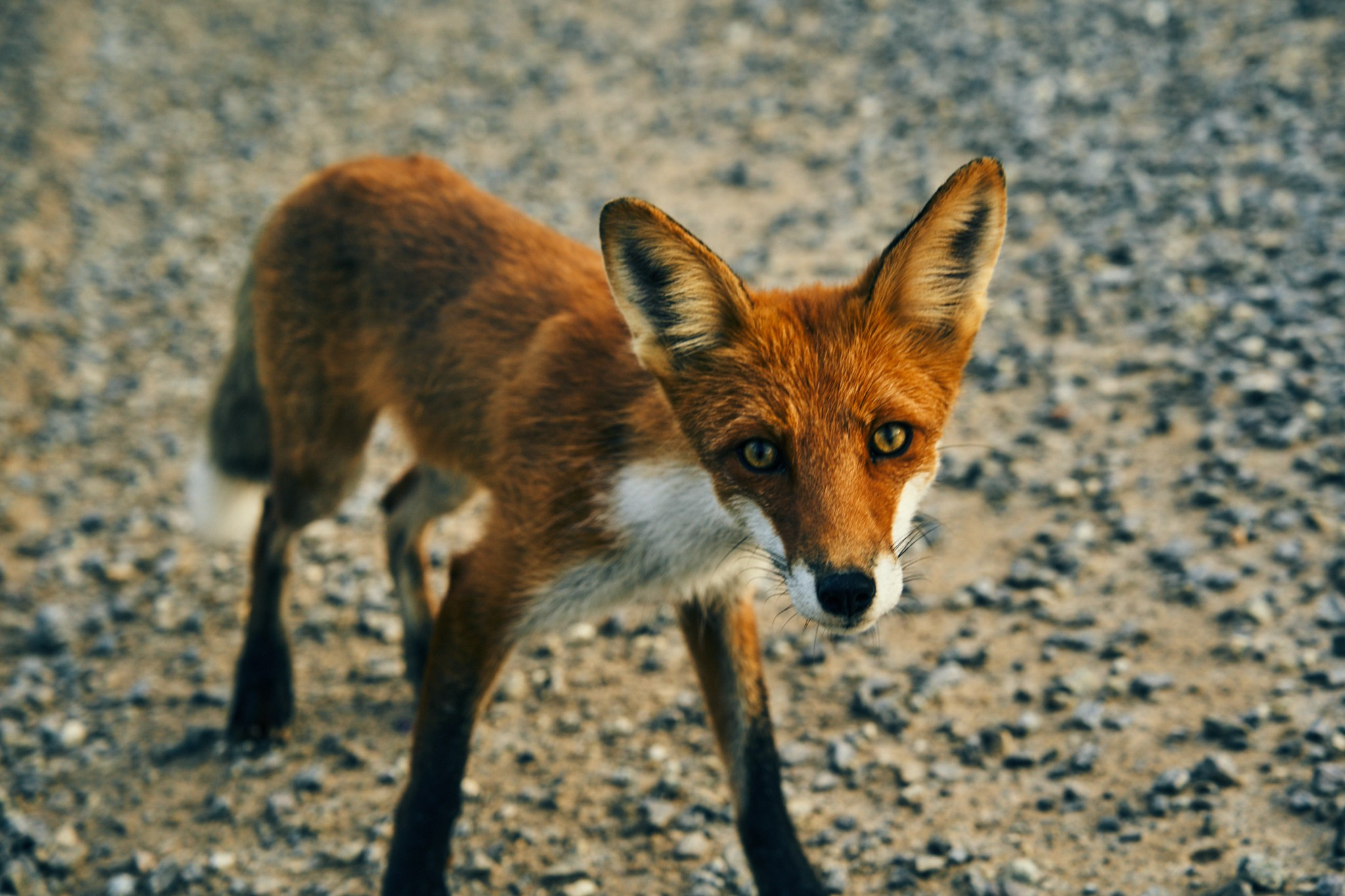 Путешествие на Север в 2023 году. Внедорожные путешествия — OFFROADTRIP
