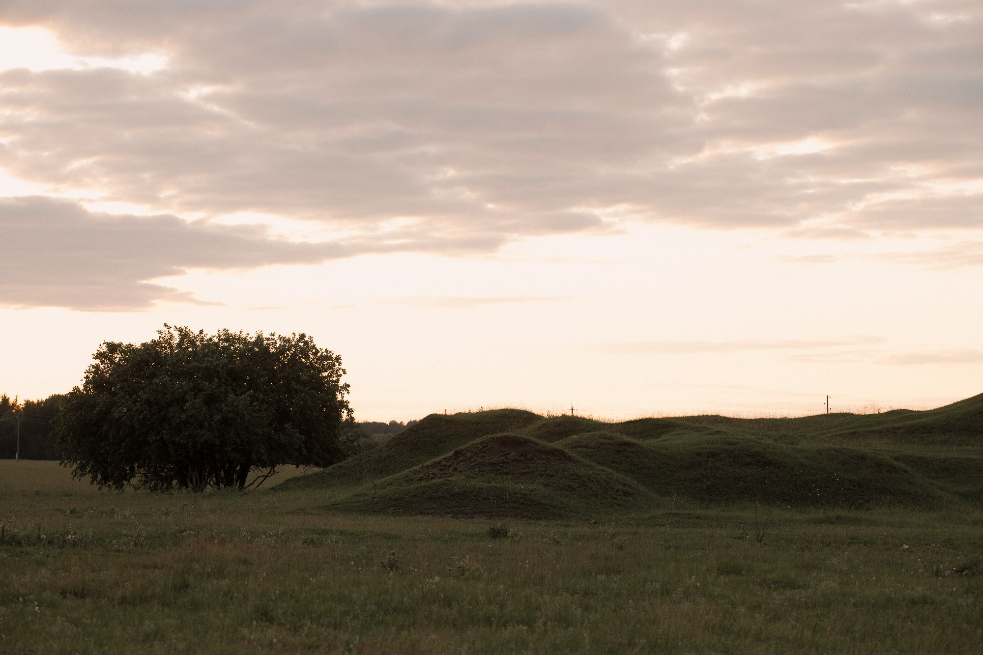 Светлана и Алексей. Свадебный и семейный фотограф в Челябинске