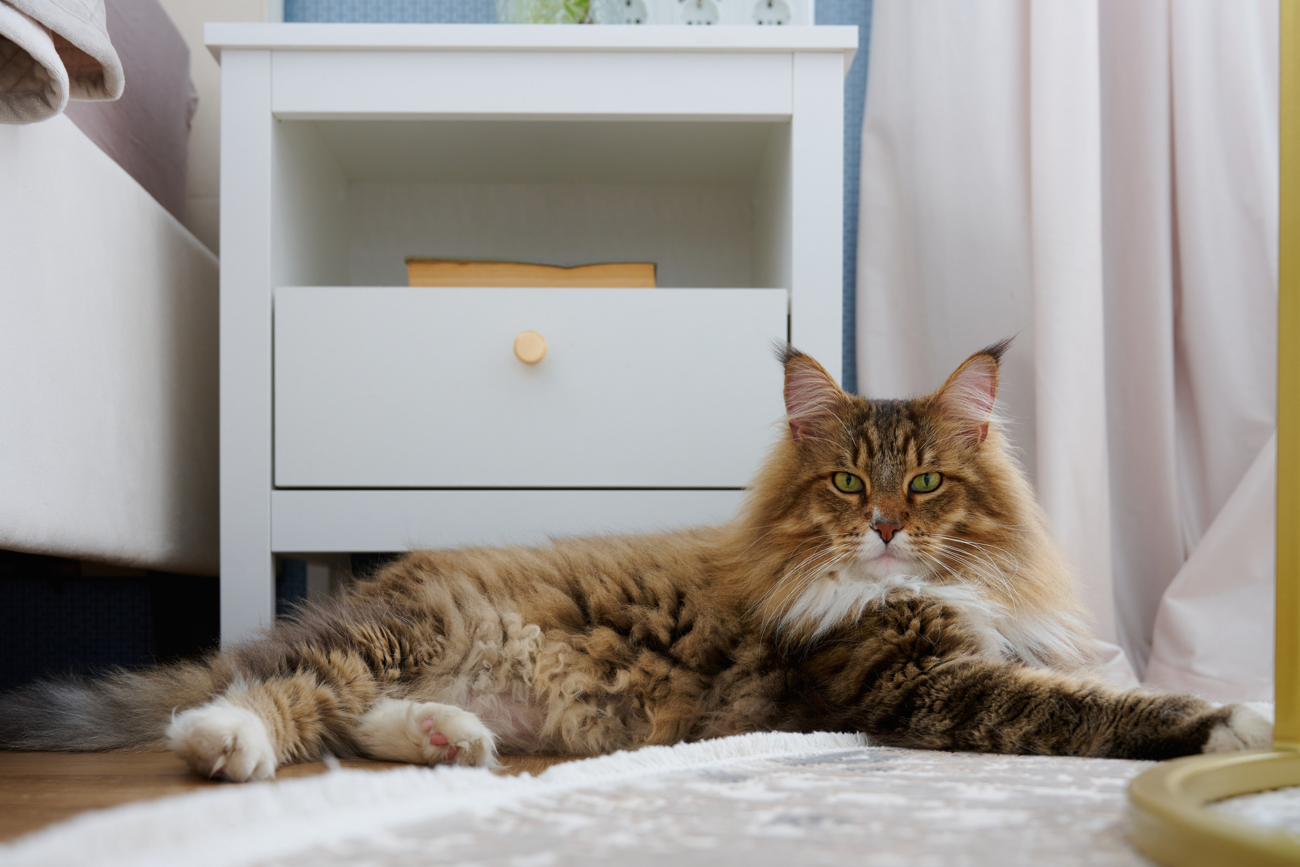 Фотосъёмка дизайн-проекта квартиры — интерьер и детали | FlowFoto. Фотограф для дизайнеров, застройщиков и бизнеса — интерьеры и архитектура — Свободный Роман в Москве и по России