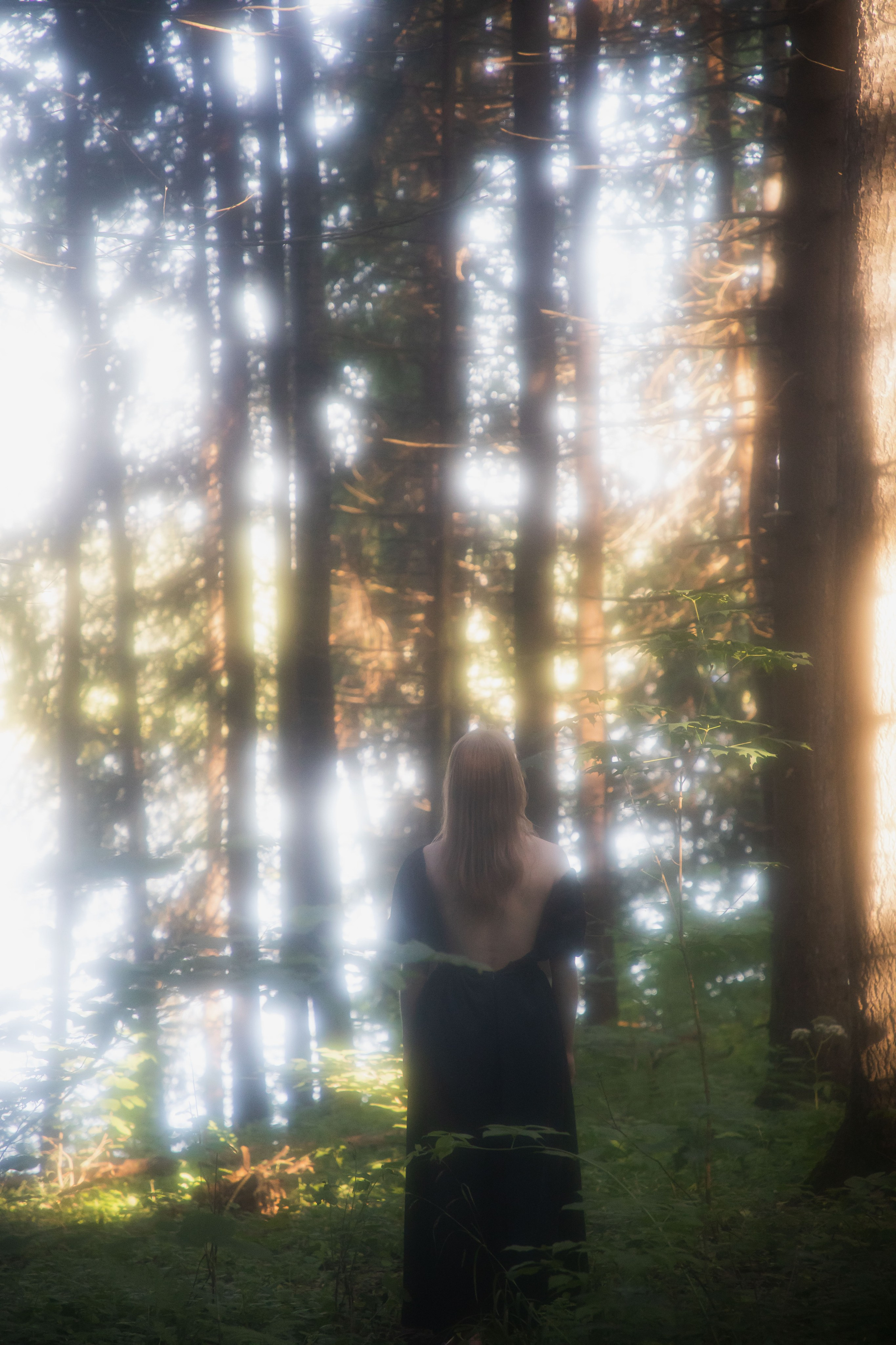 Рассветная в лесу. Юлия Башкатова, сказочный фотограф, Москва