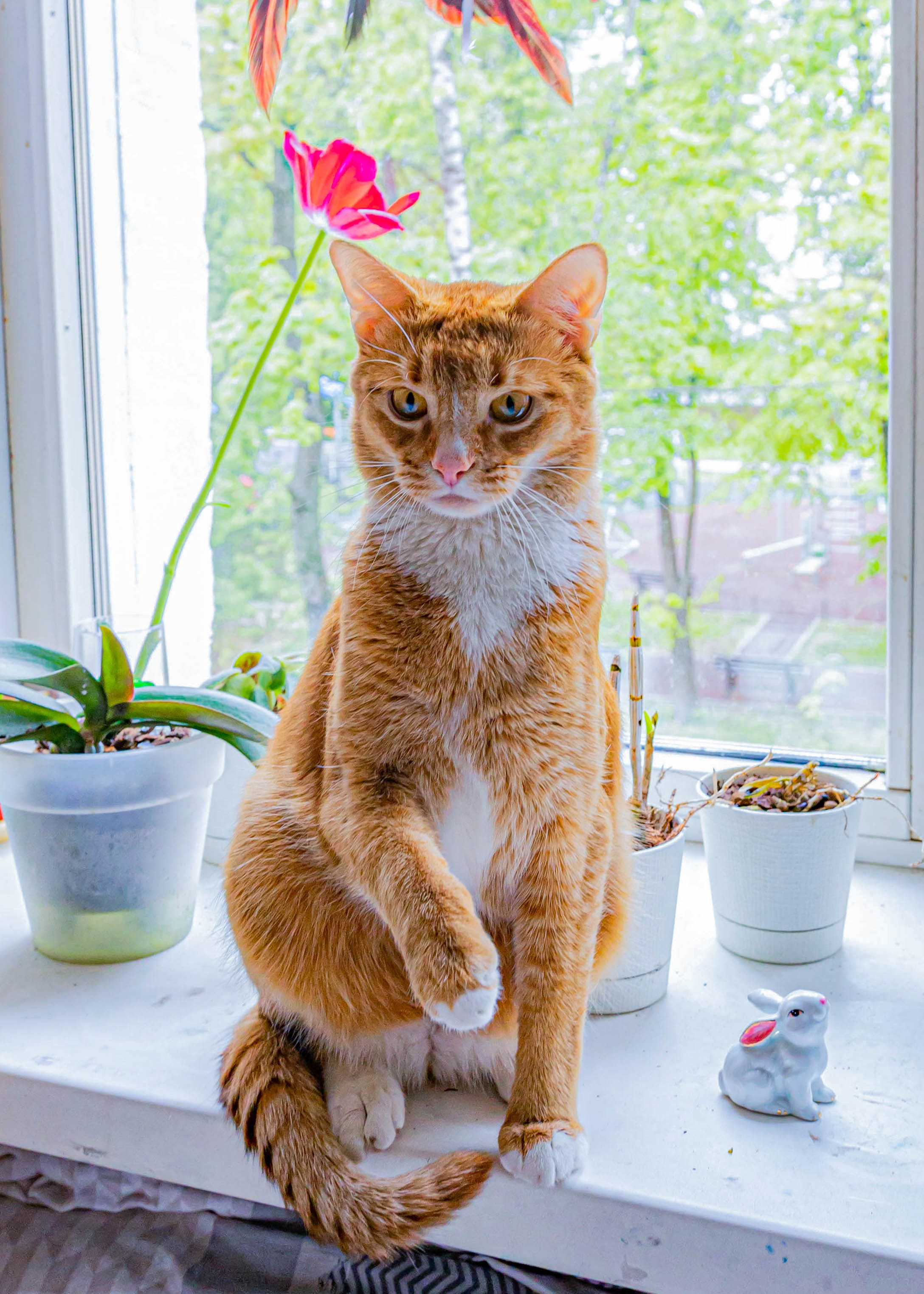 Свадебный и семейный фотограф в Москве Мария Соловова