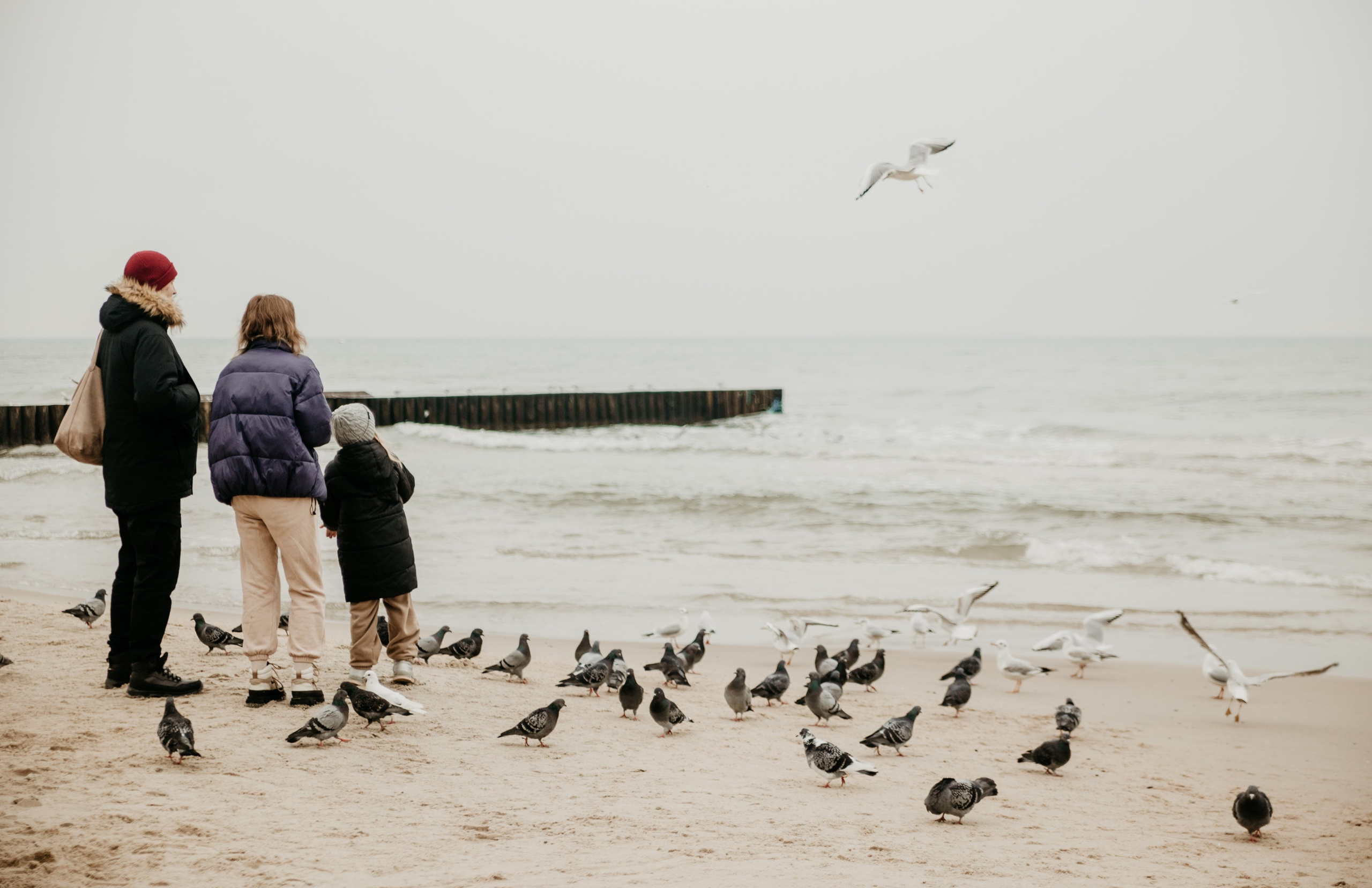 Зимнее Море. Портретный фотограф в Калининграде Алеся Раух
