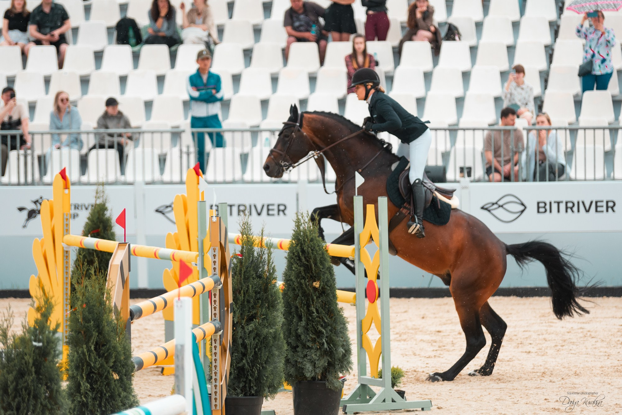 BITRIVER CUP 2023. Конный фотограф Куракина Дарья • Фотосессии с лошадьми