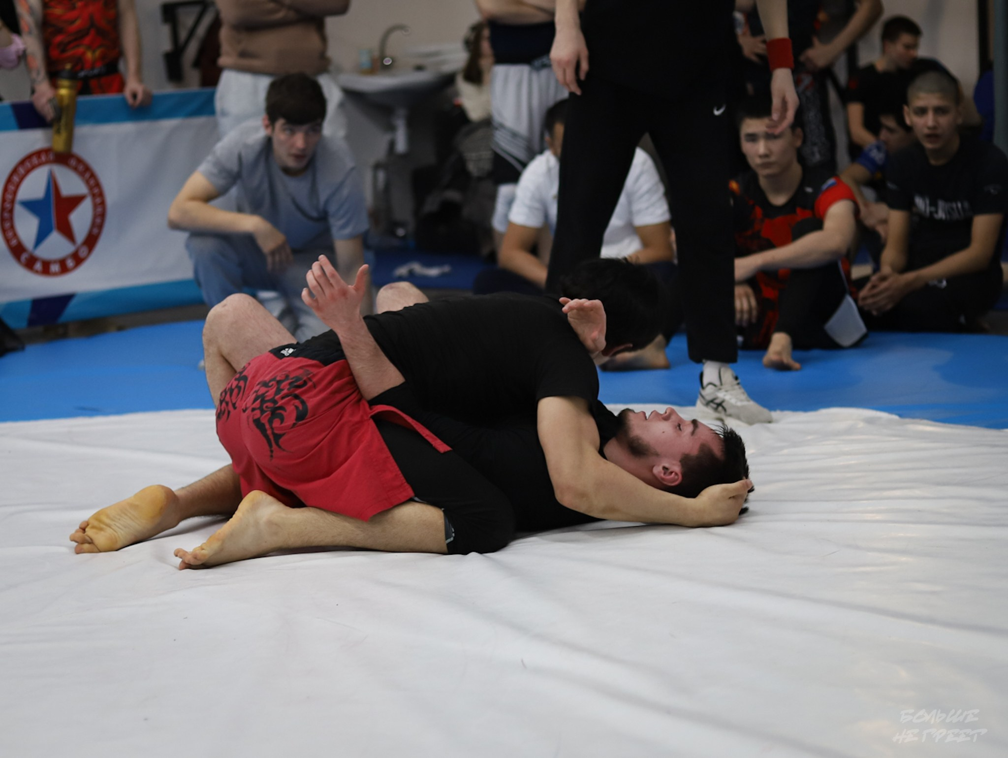 GORILLA PRIDE CUP. Больше не греет