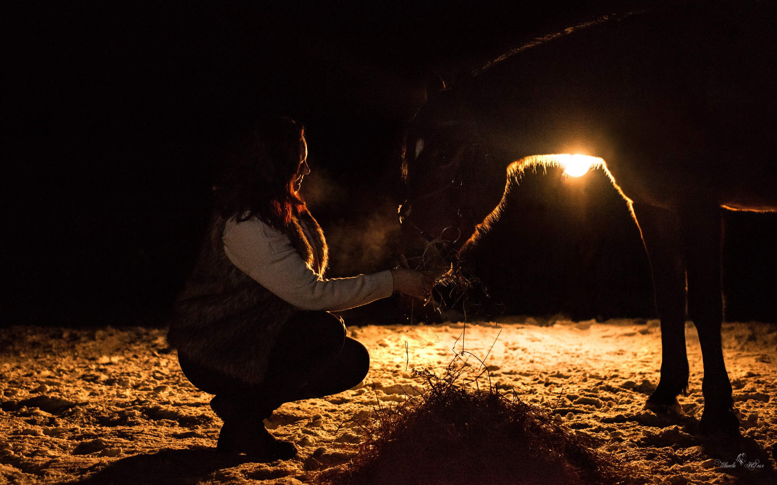 Татьяна и Холмогор. Конный фотограф в Саратове Юлия Иванова