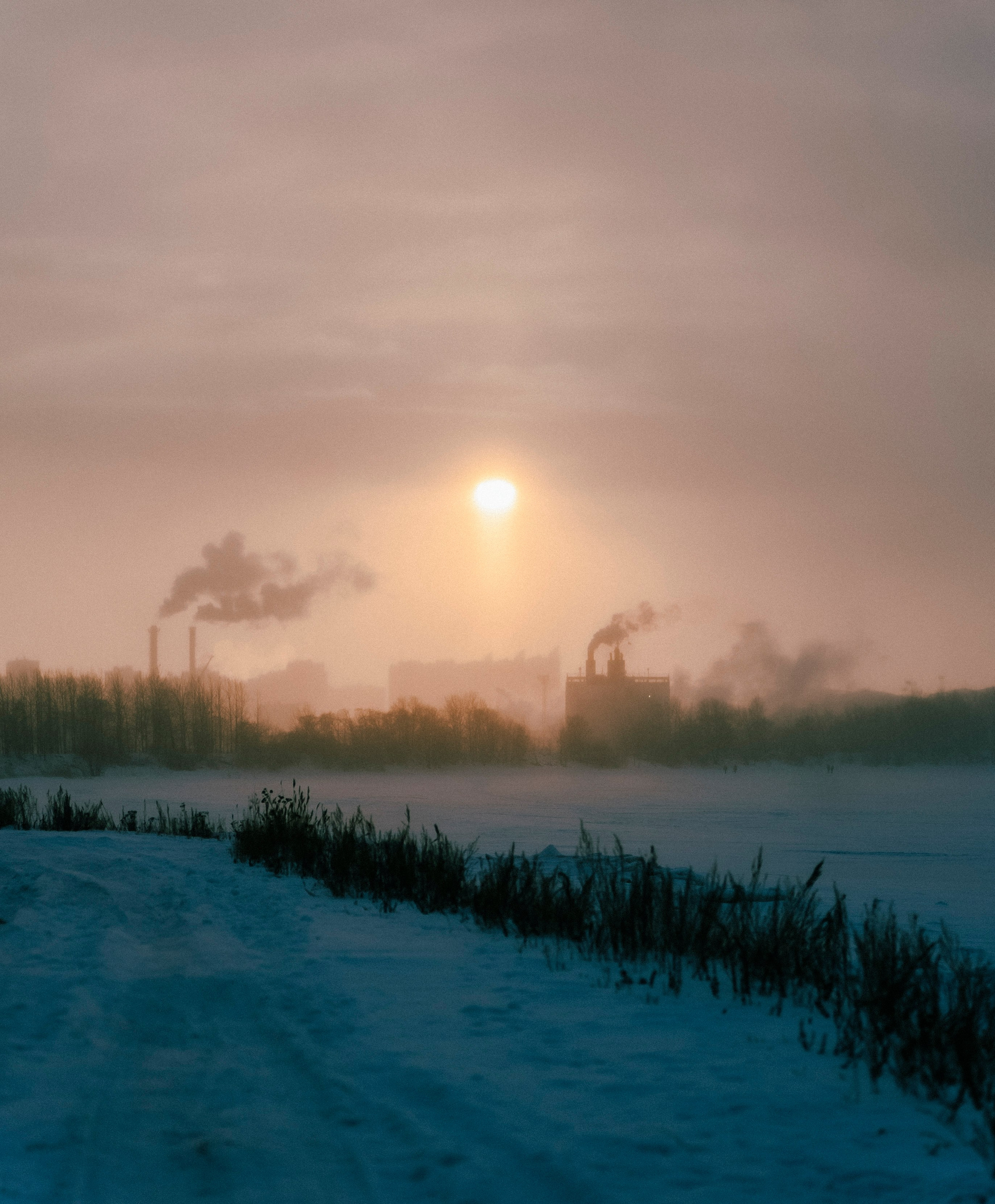 2026. Стрит-фотография, полная абсурда, идиотизма и красоты
