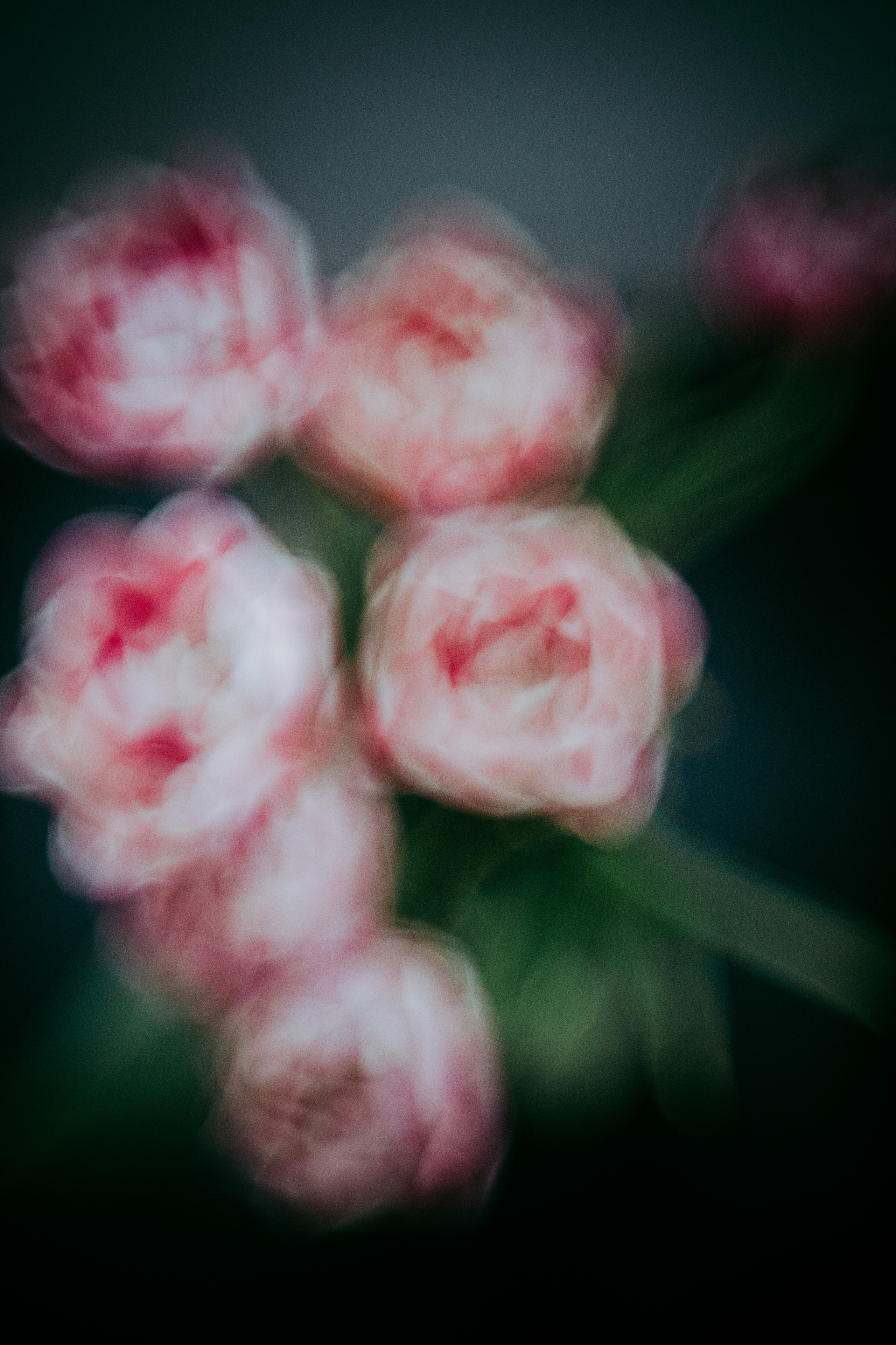 2023. Фотограф Коронелли