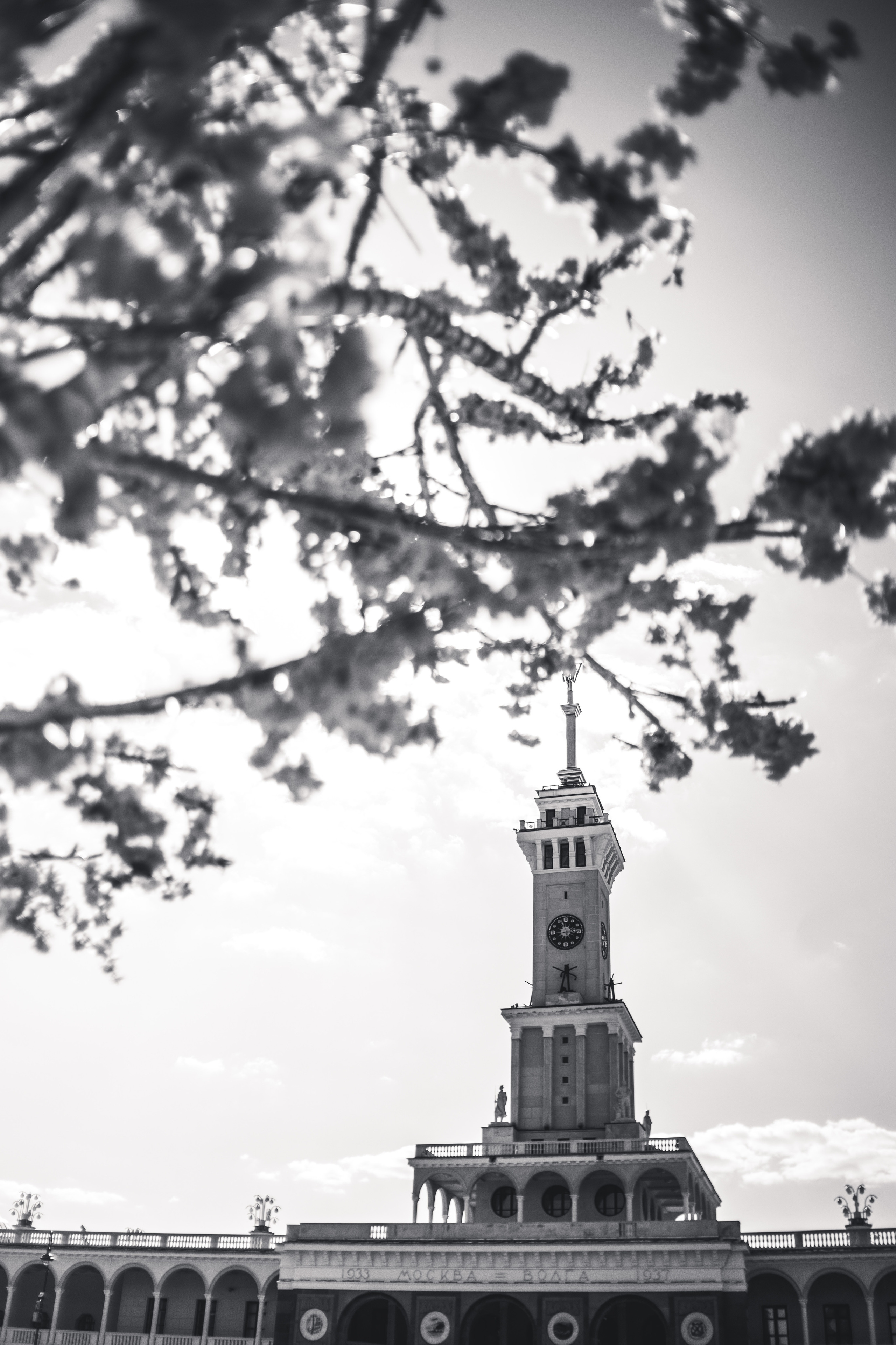 2023. Фотограф Коронелли