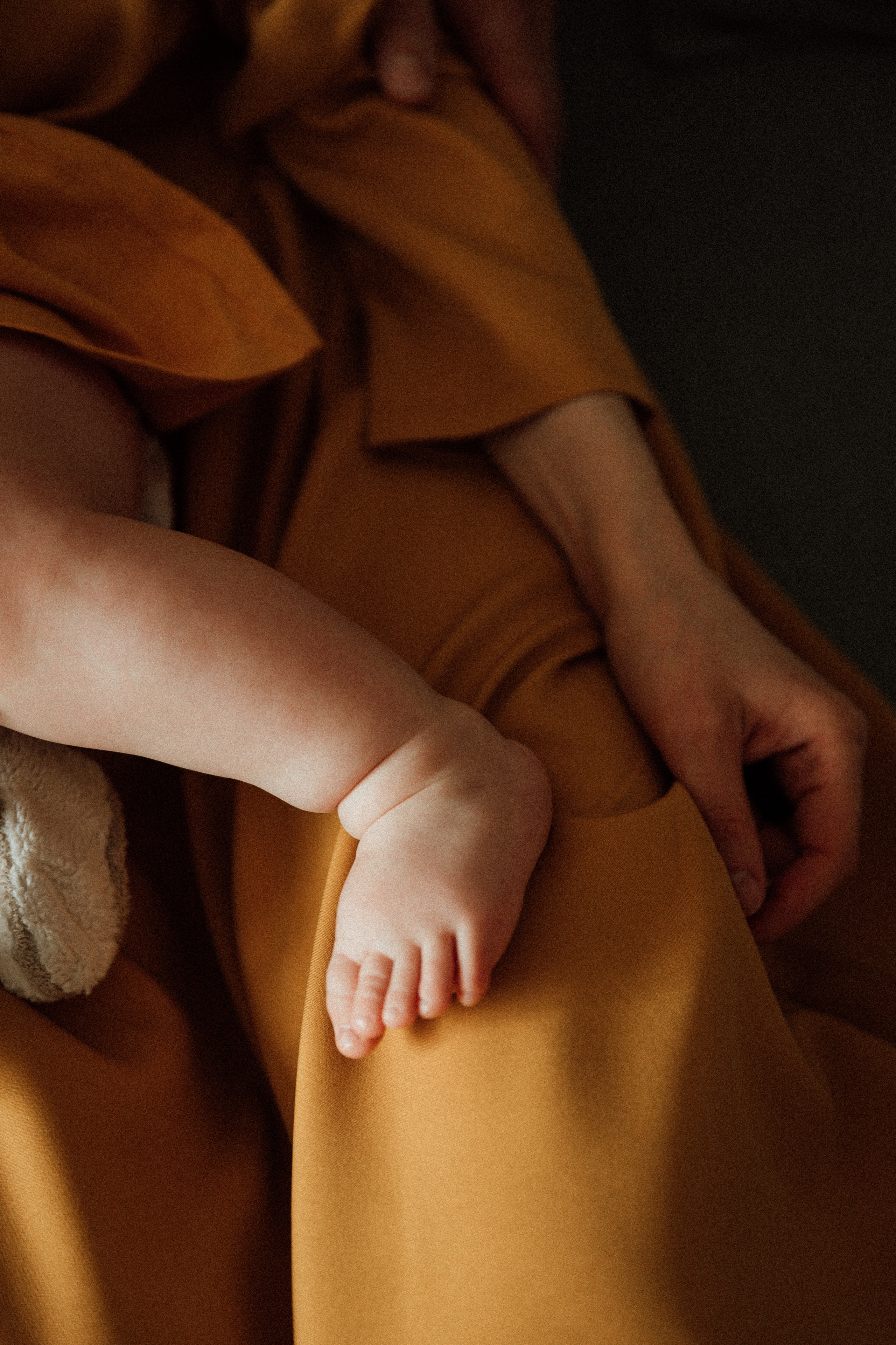 Домашняя съемка. Фотограф Коронелли