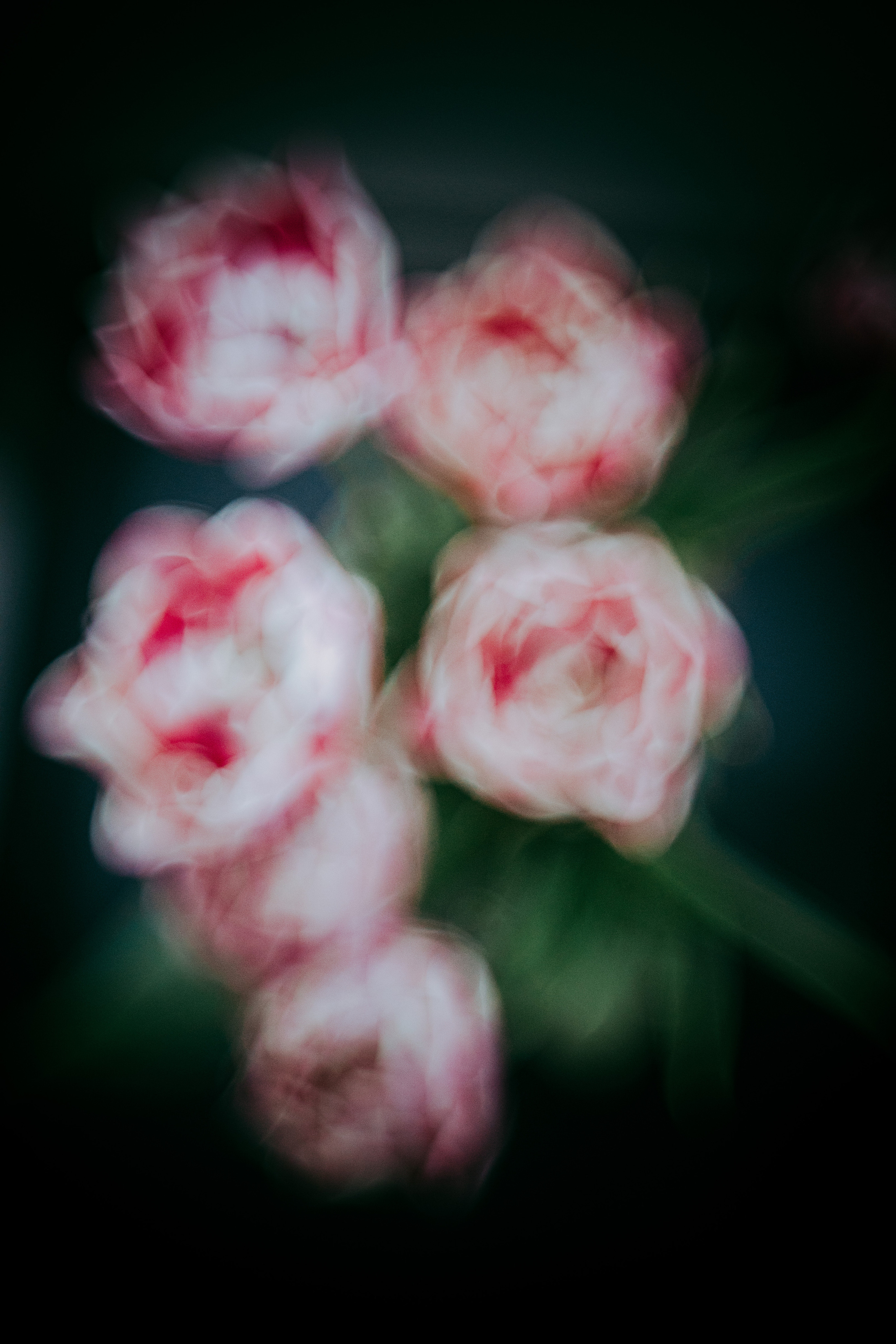 2023. Фотограф Коронелли