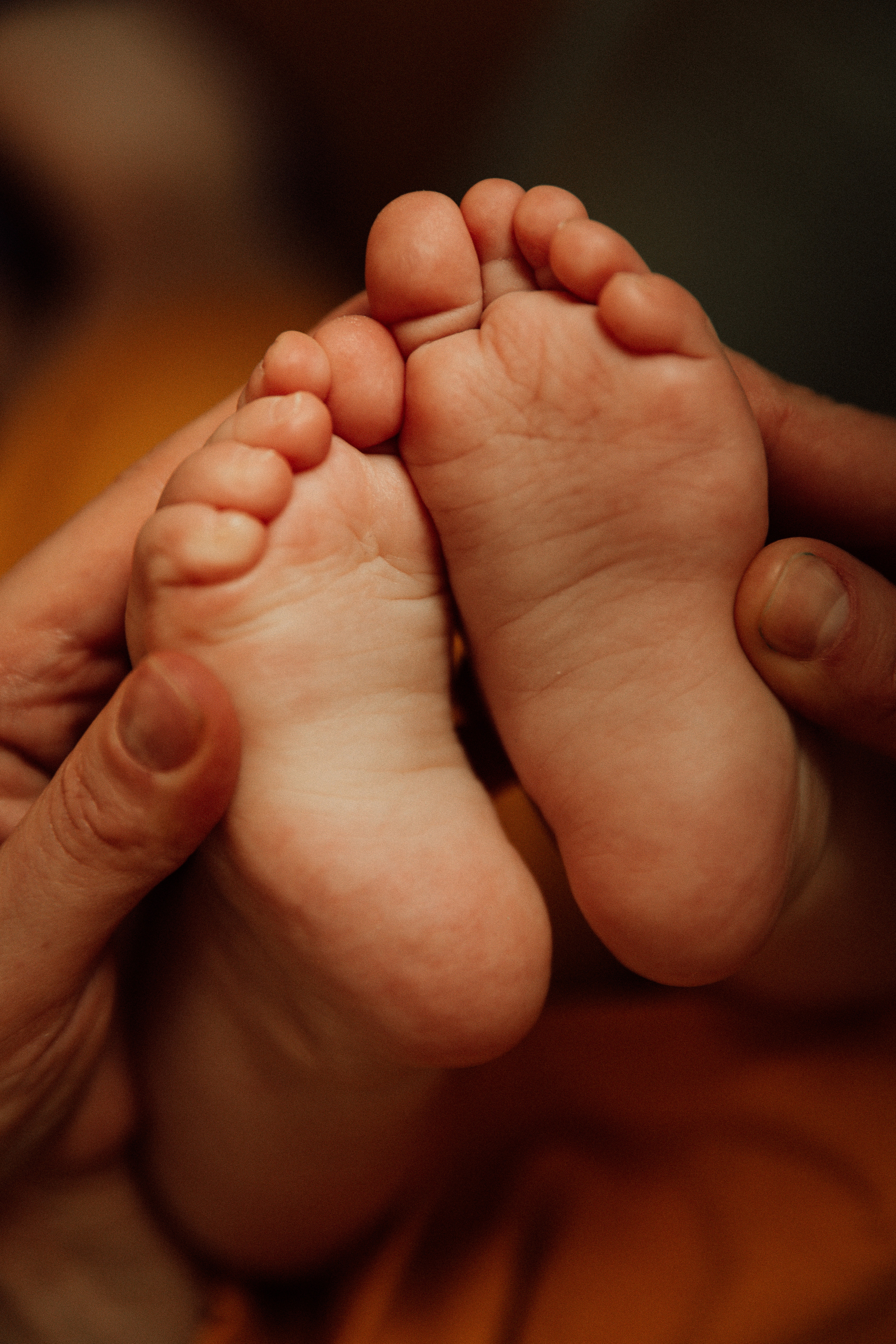 Домашняя съемка. Фотограф Коронелли