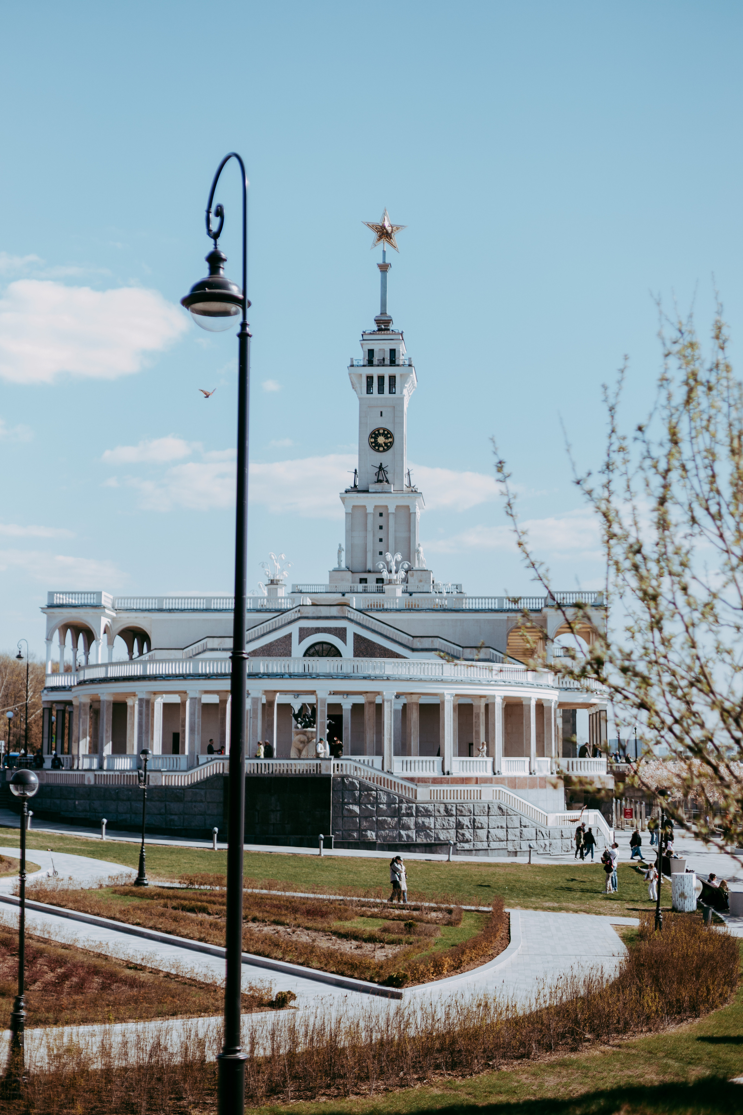 2023. Фотограф Коронелли