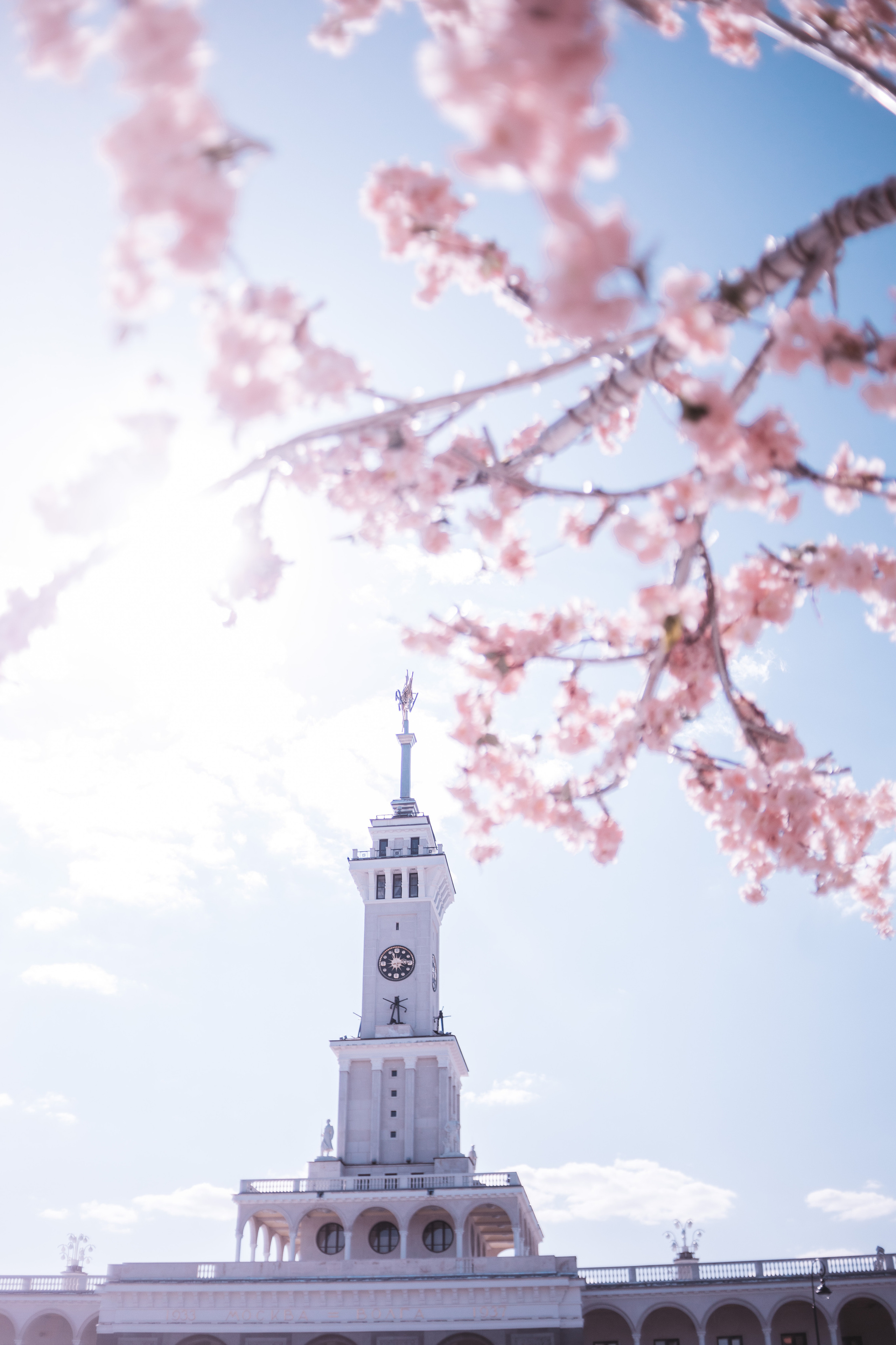 2023. Фотограф Коронелли