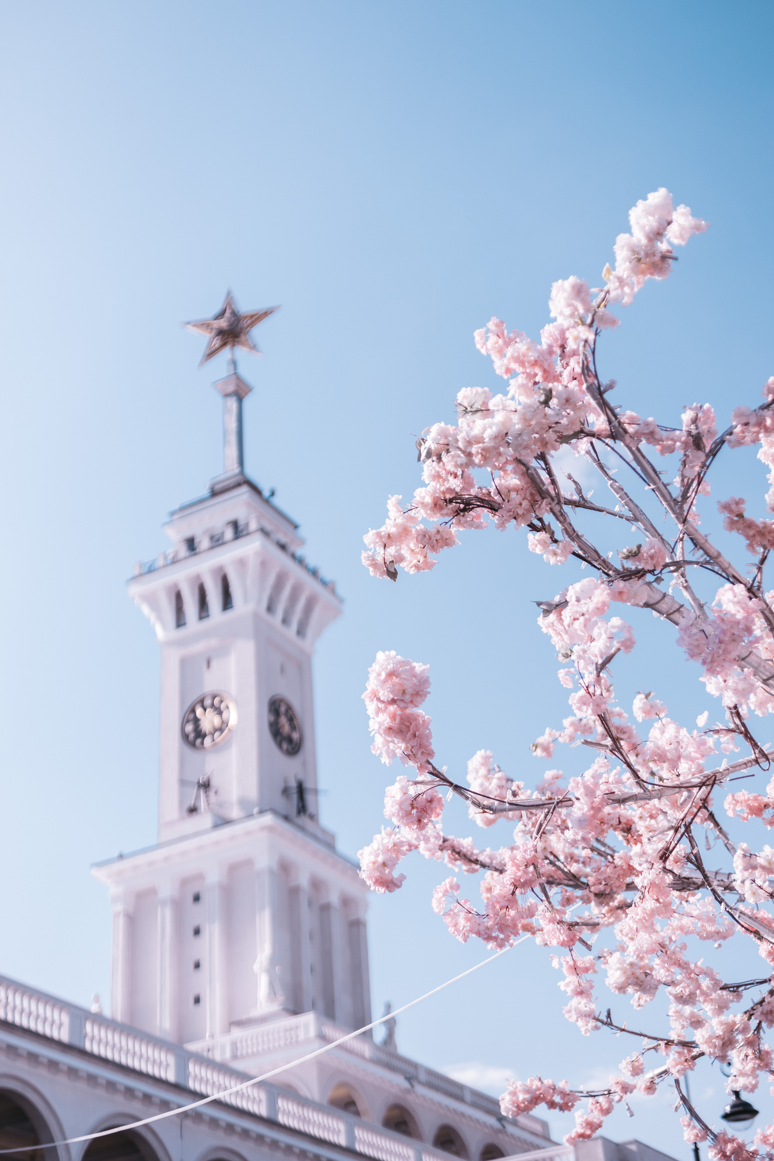 2023. Фотограф Коронелли