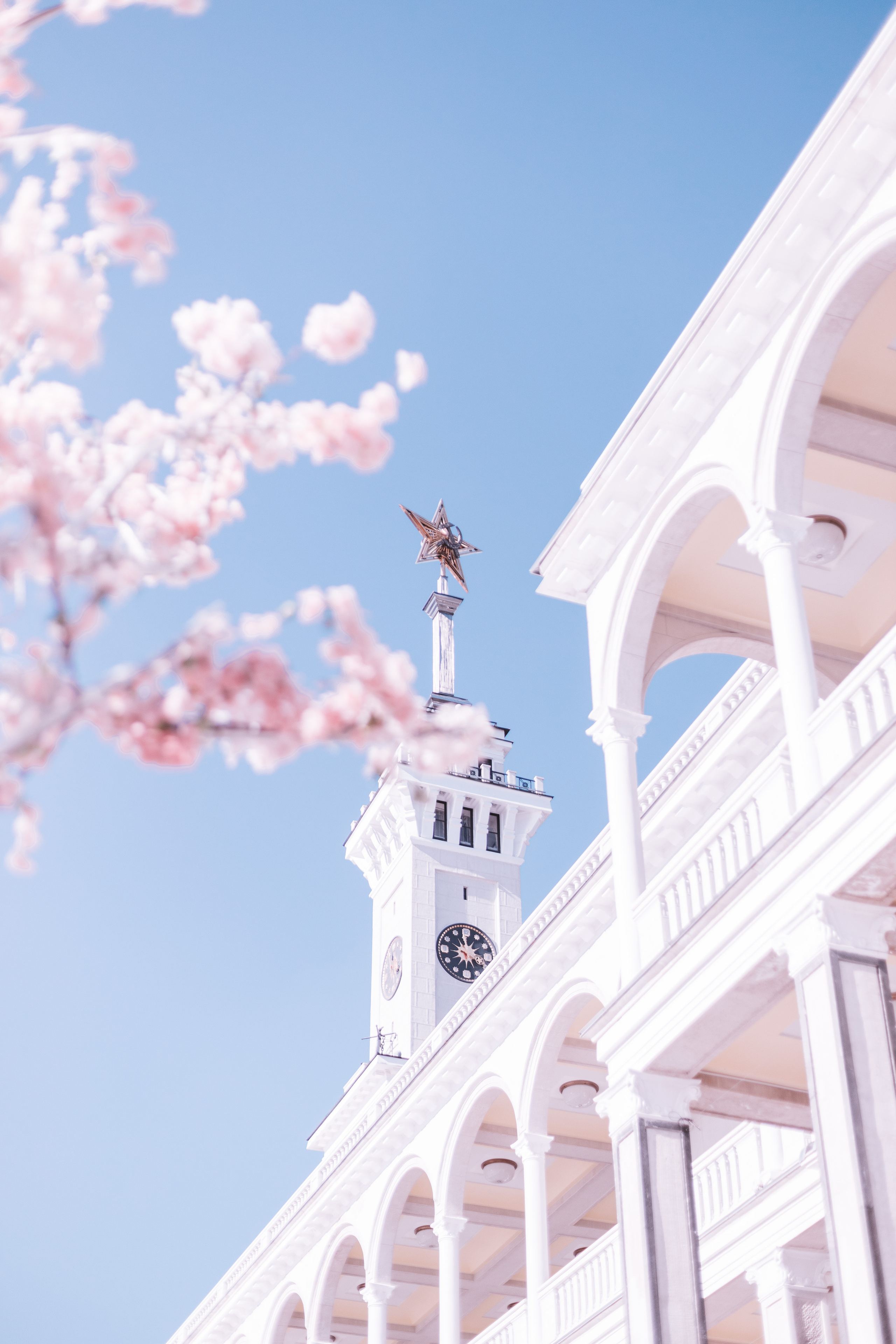 2023. Фотограф Коронелли