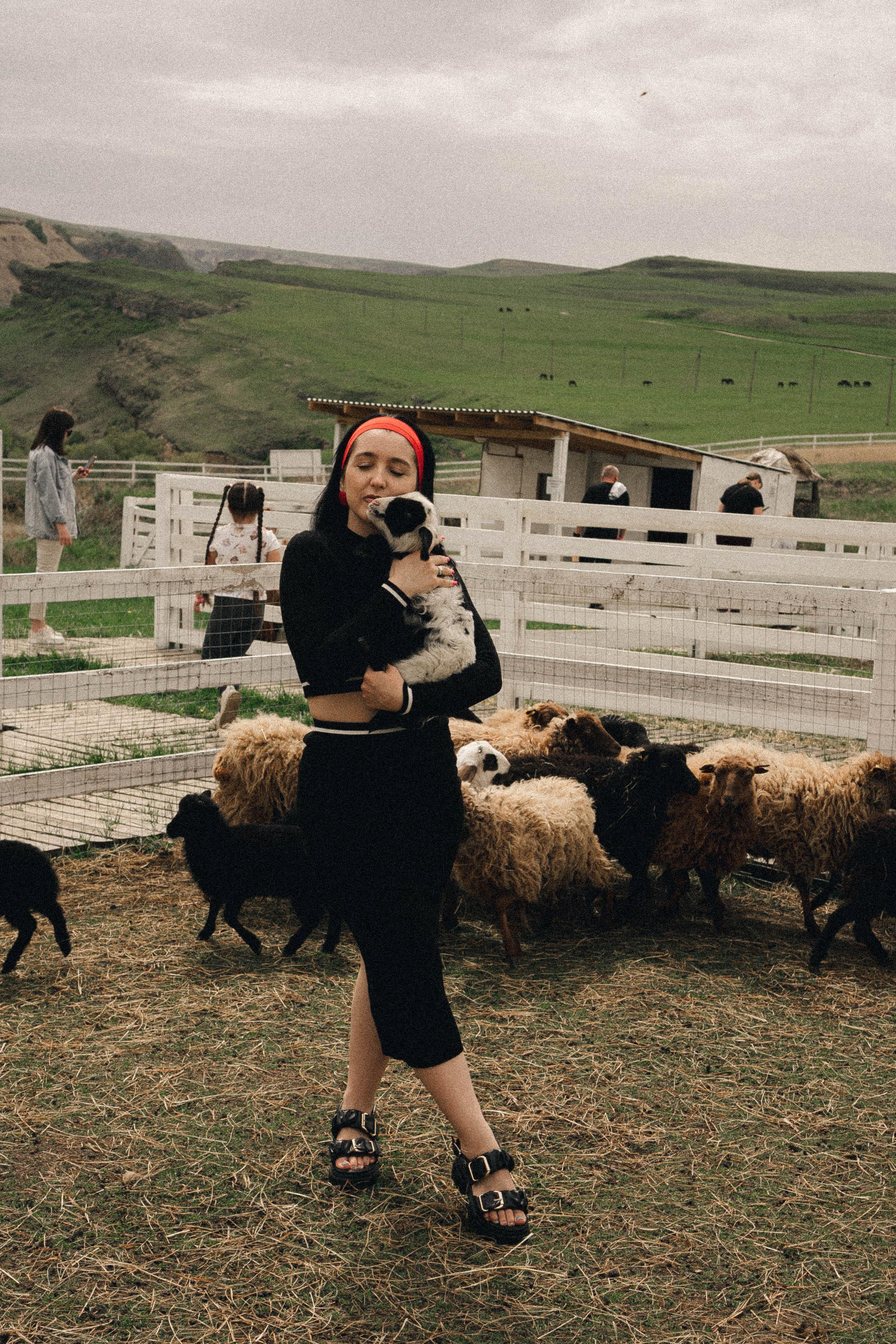 Ферма Альпак. Профессиональный фотограф, Санкт-Петербург — Виктория Богомолова