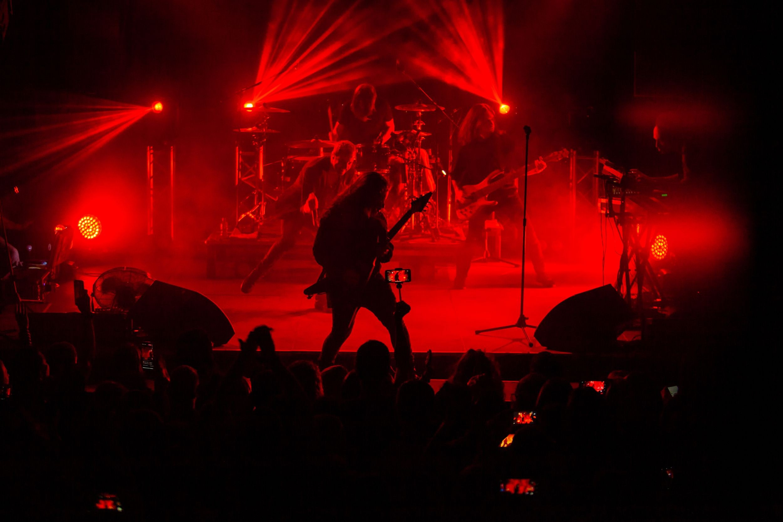 Animal ДжаZ. Репортажный фотограф Алексей Пирязев