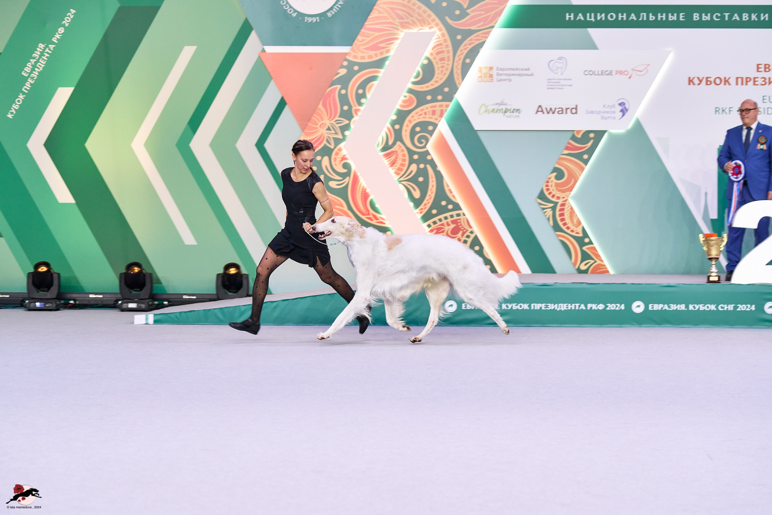 17.11.2024 «ЕВРАЗИЯ. КУБОК СНГ 2024»