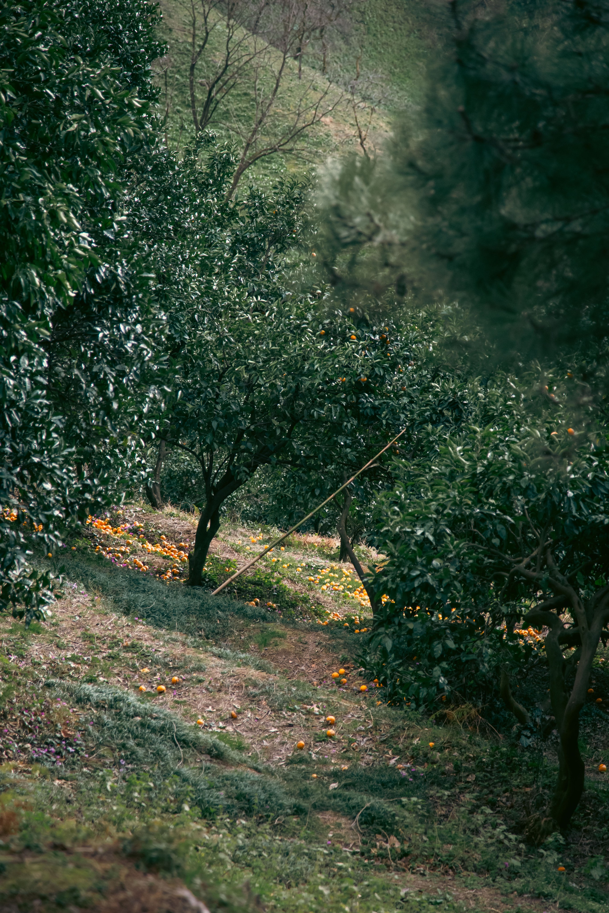 Batumi. Dmitriy [KCCC] is a pretty cool photographer