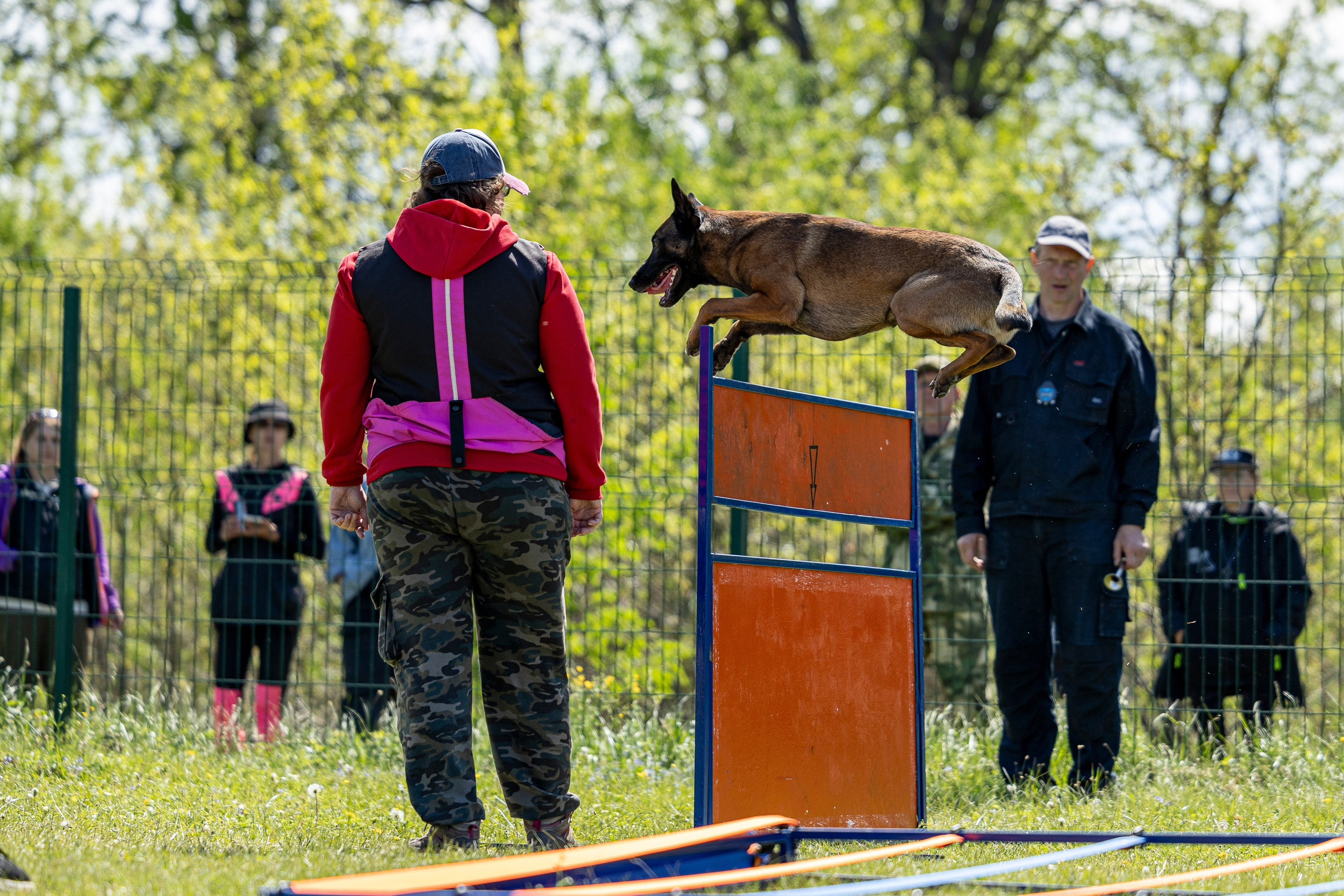 Испытания по мондьорингу в Нижнем Новгороде. Фотограф-анималист Анна Маринич