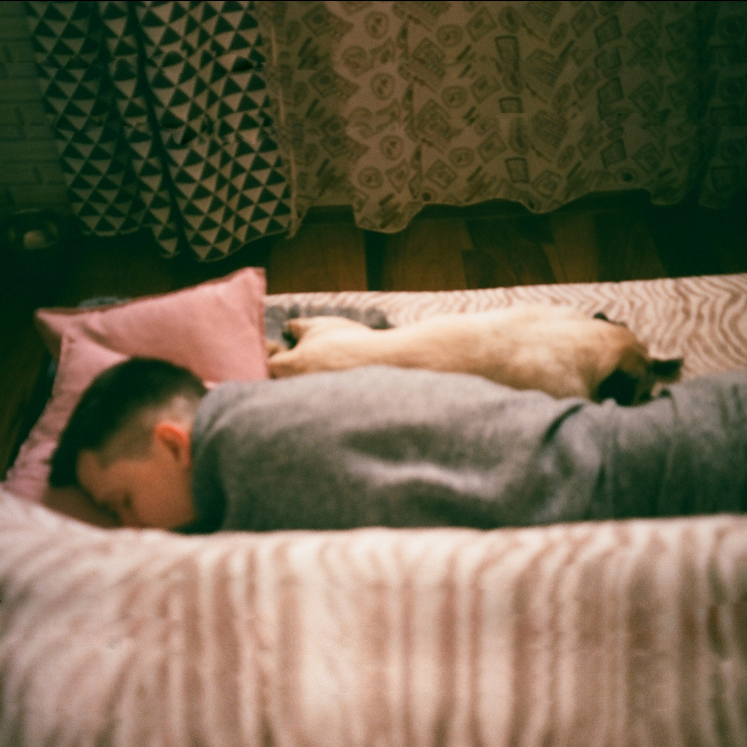 Love. VISUAL ARTIST · KRONGAUZ ANASTASIA