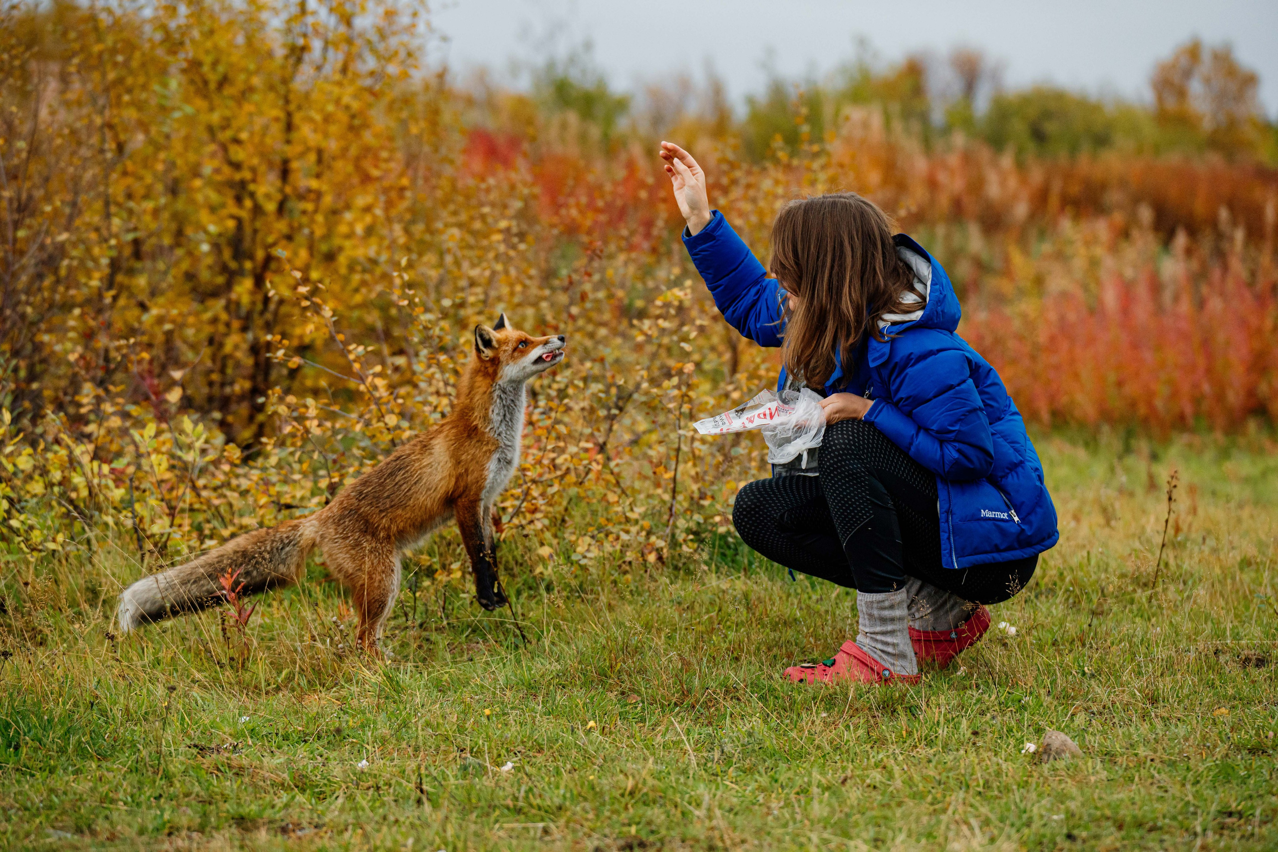 СЕВЕР. Event фотограф Степанова Александра