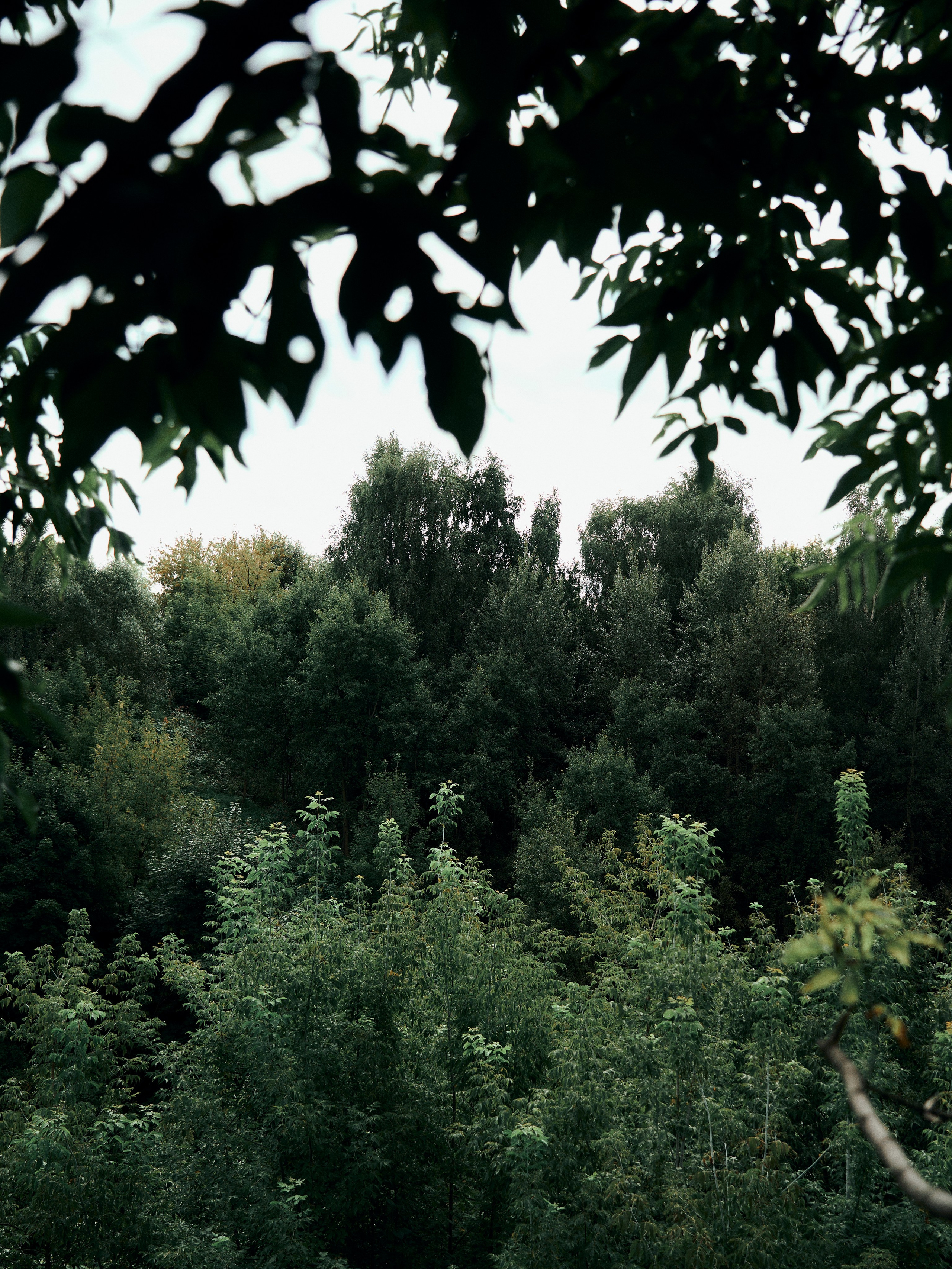 Street. Портретный фотограф в Москве