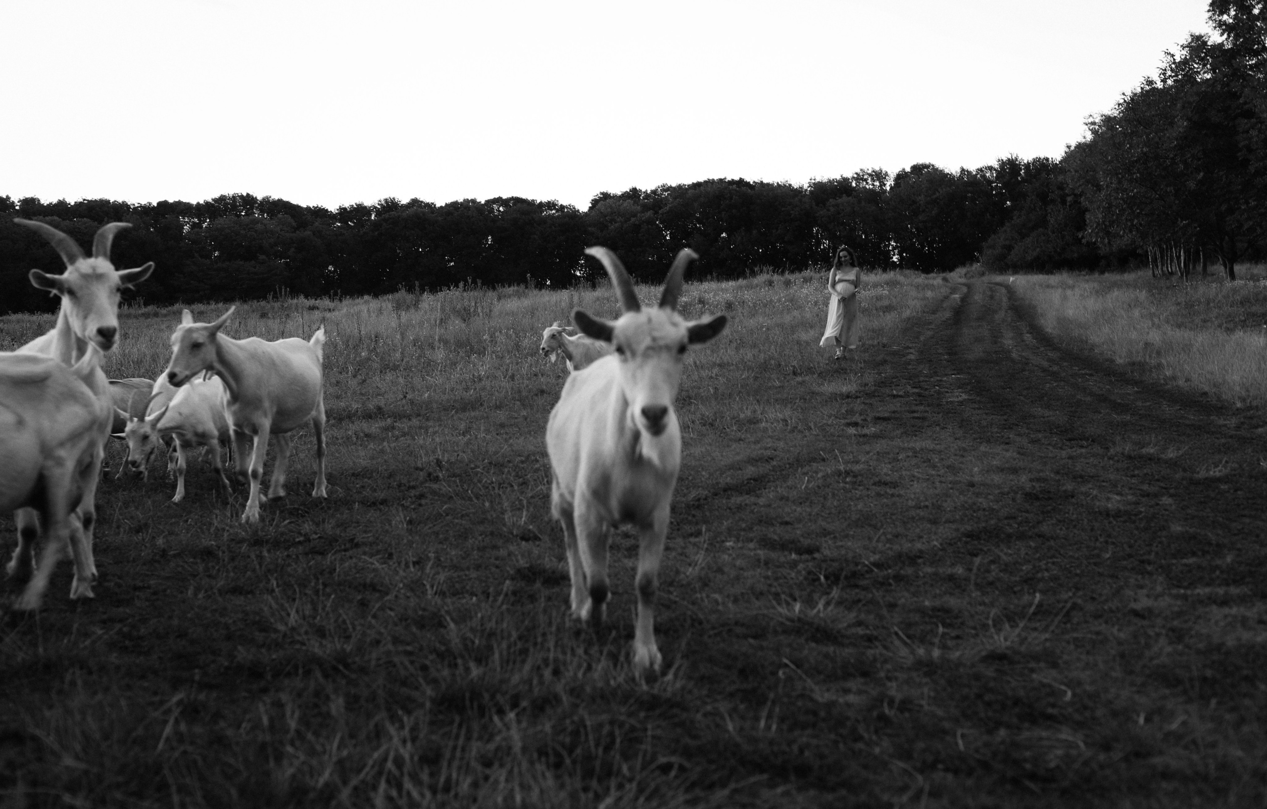 Беременность. Фотограф в Железноводске и городах КМВ Исвира Ващенко