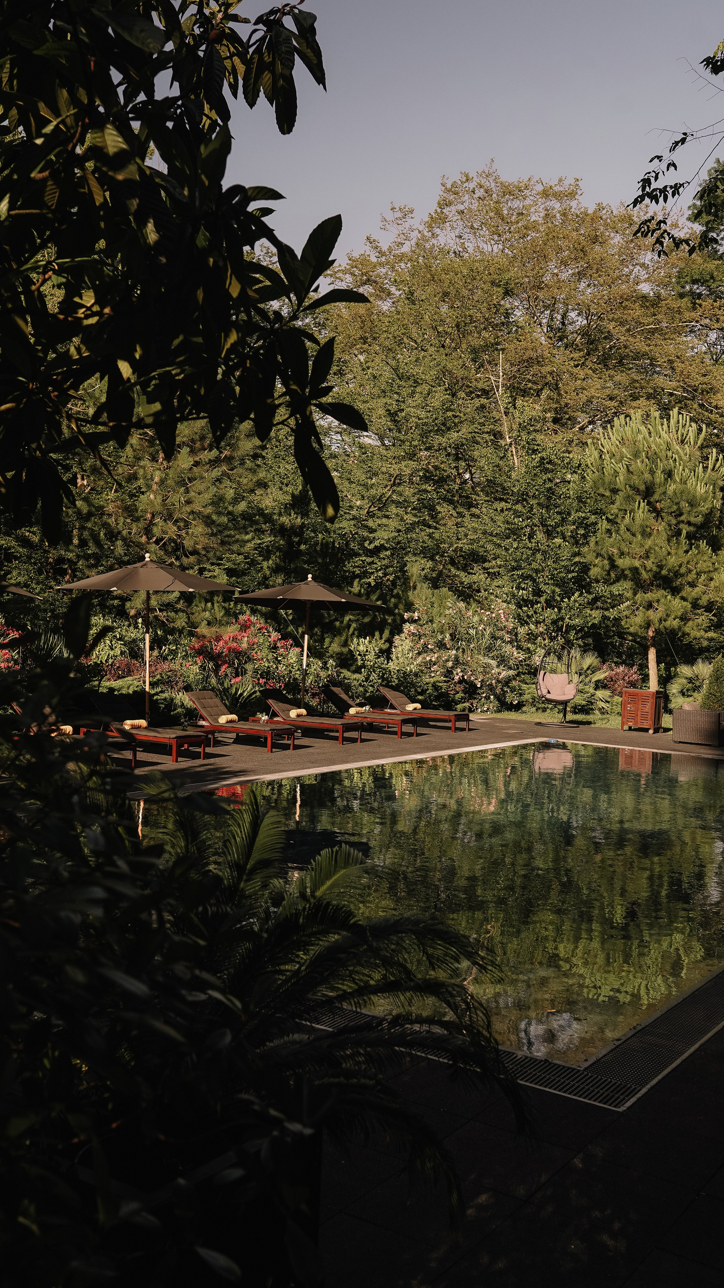 Мамай-Кале — Ресторан в лесу. Милана Довгаль - семейный фотограф и видеограф  в Адлере и Сочи