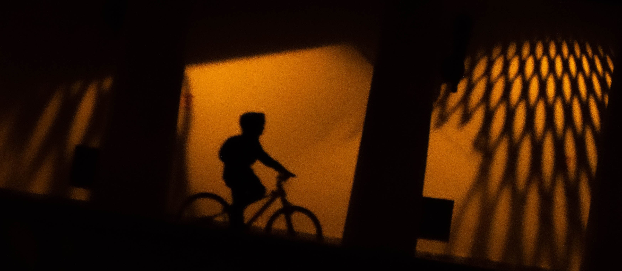 The dreamer. Moscow, 2024.