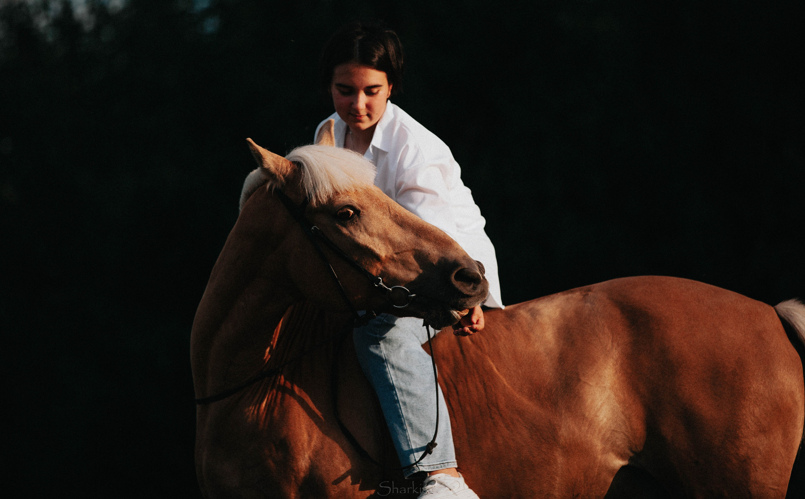 Алина и Гешефт. Главная