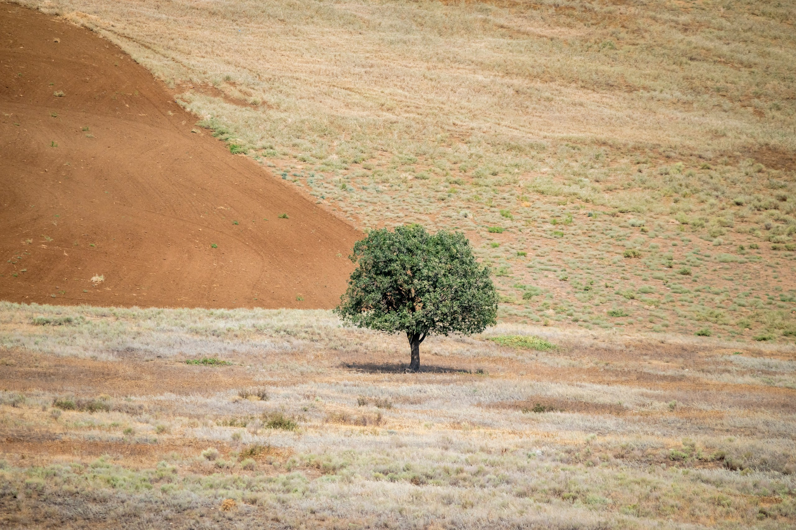 Природа Дагестана, сентябрь 2024. Foto-Zuev фотография как искусство
