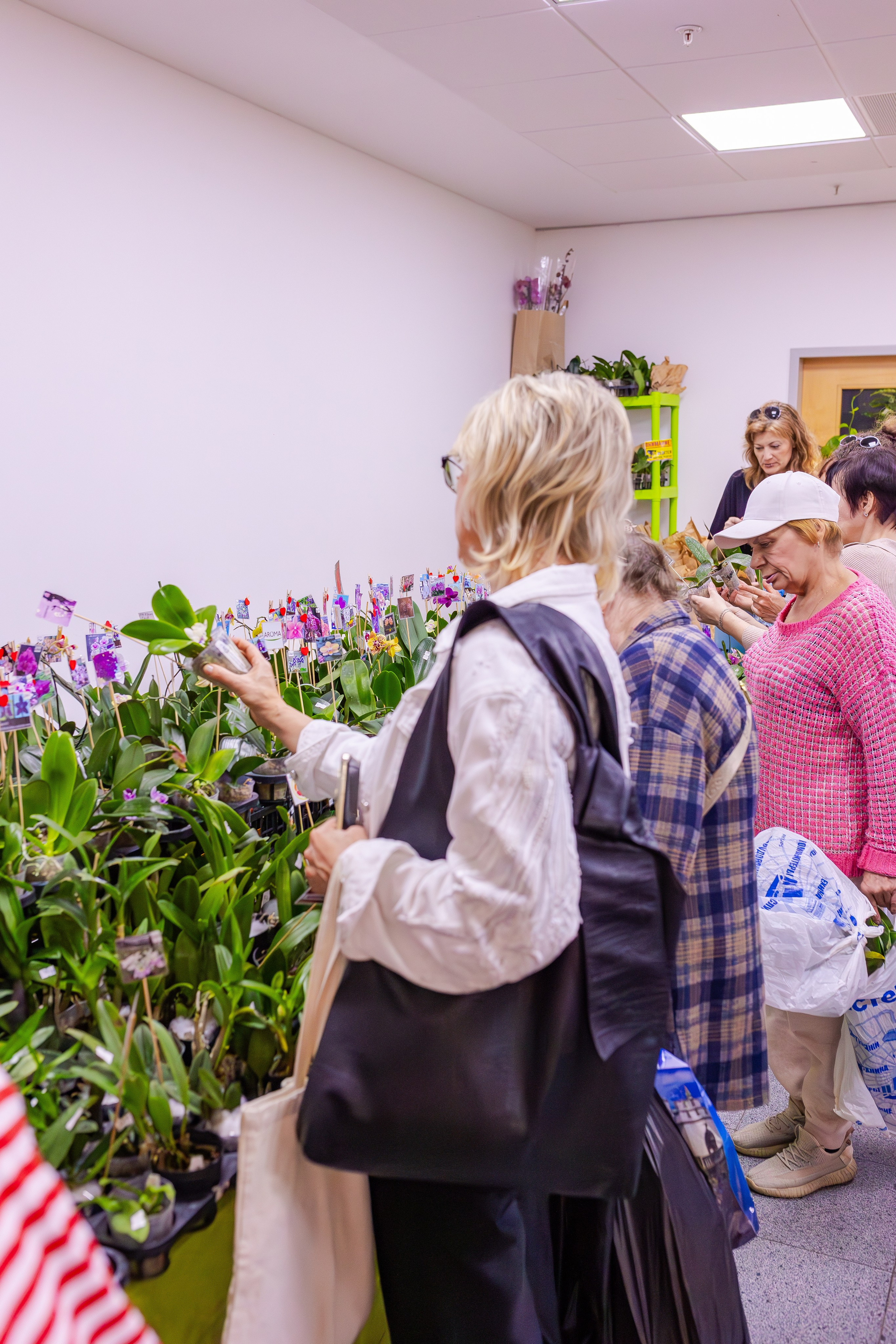 Орхидиум сентябрь 2025. Александра Куликова фотограф, Москва