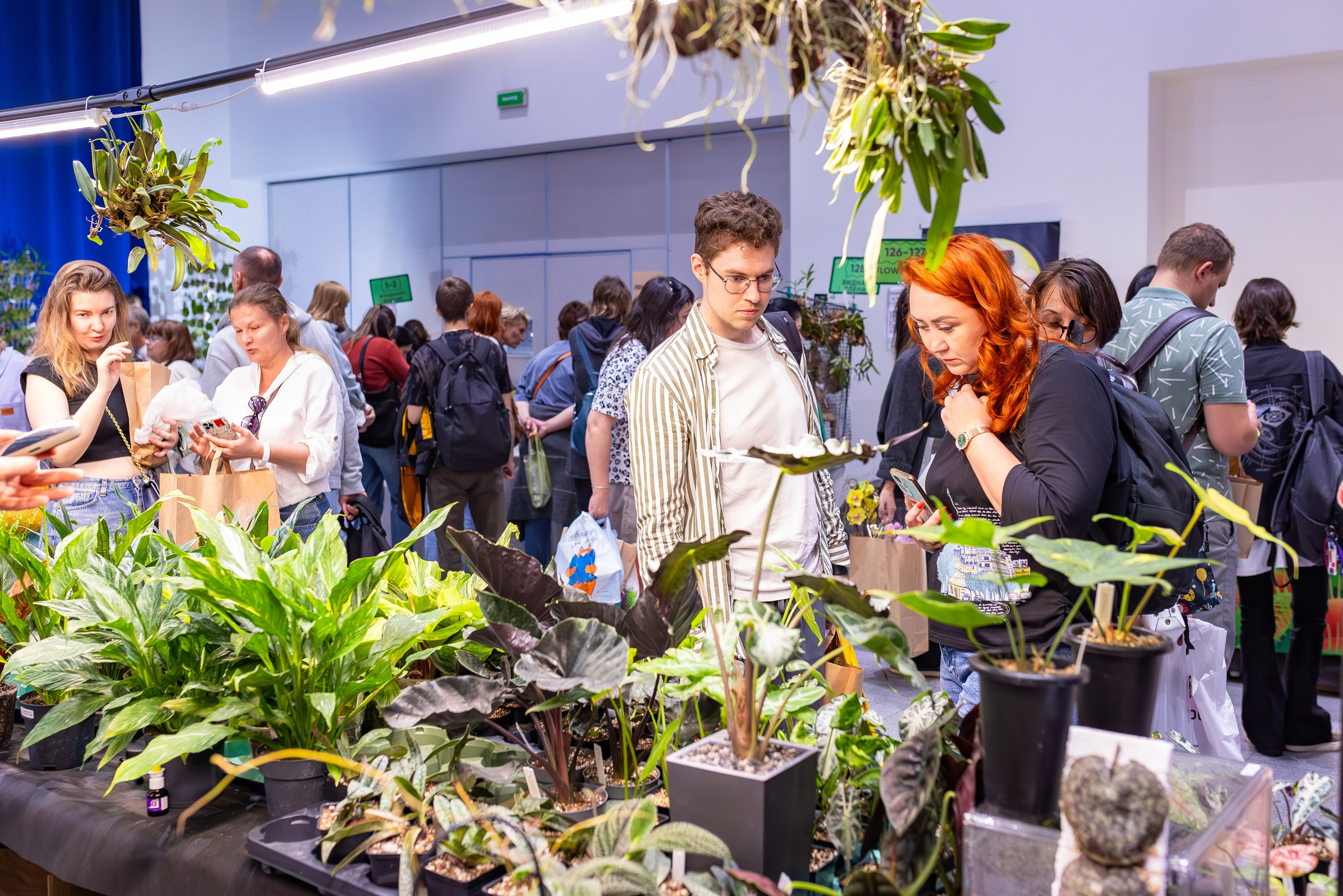 Орхидиум сентябрь 2025. Александра Куликова фотограф, Москва