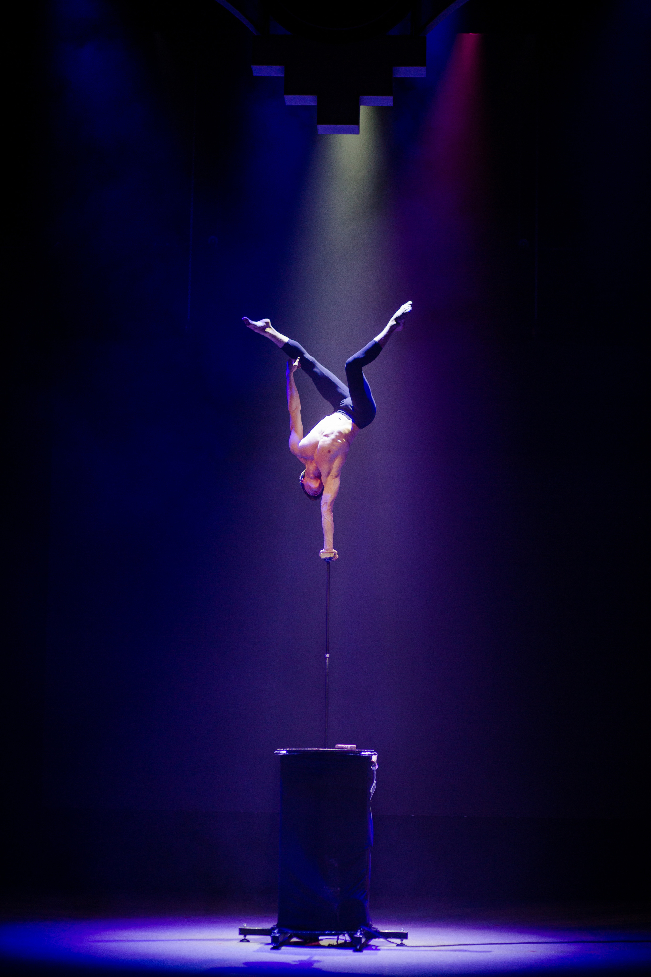 Юбилей Ефима Шифрина. Семейный и детский фотограф в Москве Кузьмина Мария