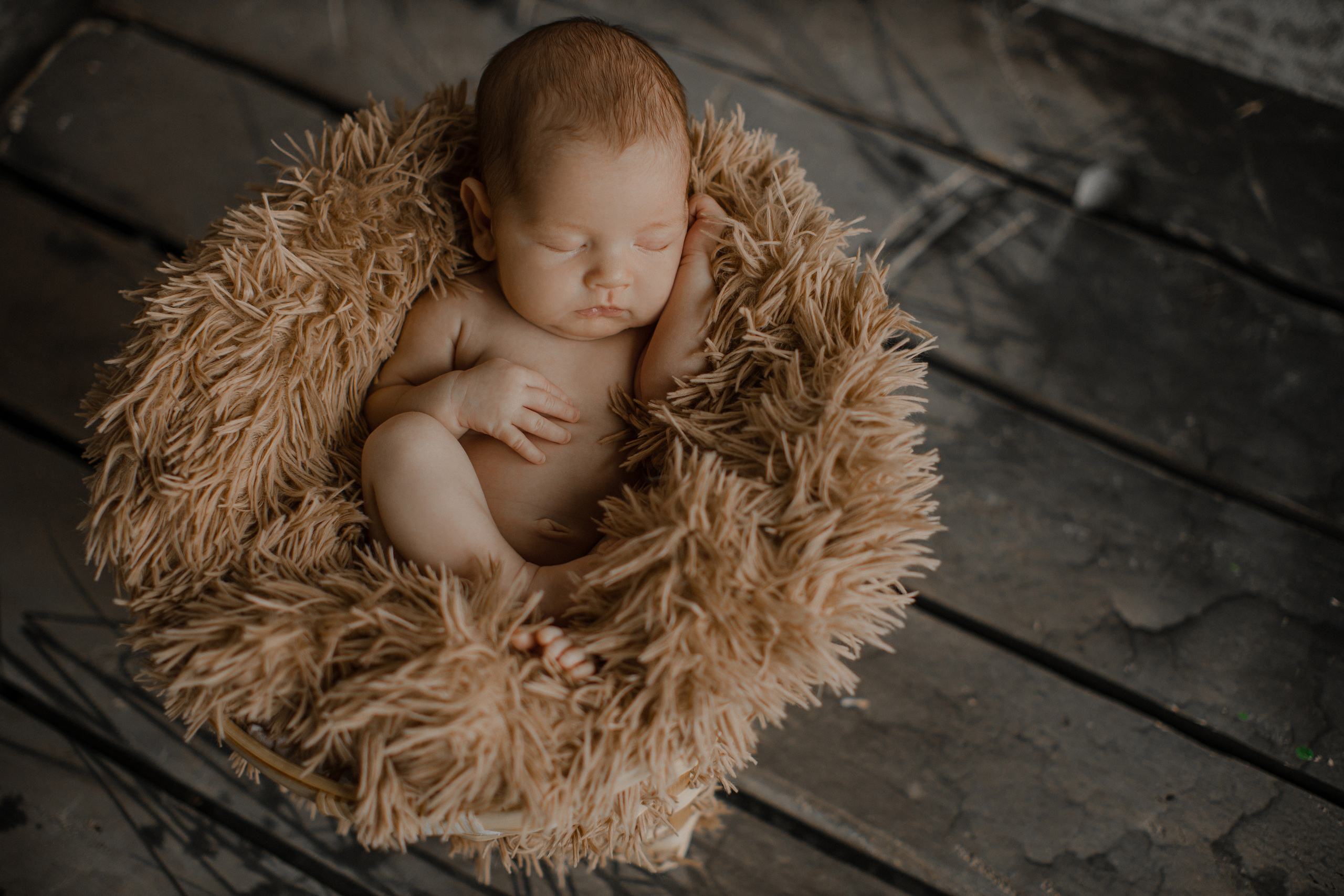 Таисия. Семейный и детский фотограф в Москве Кузьмина Мария