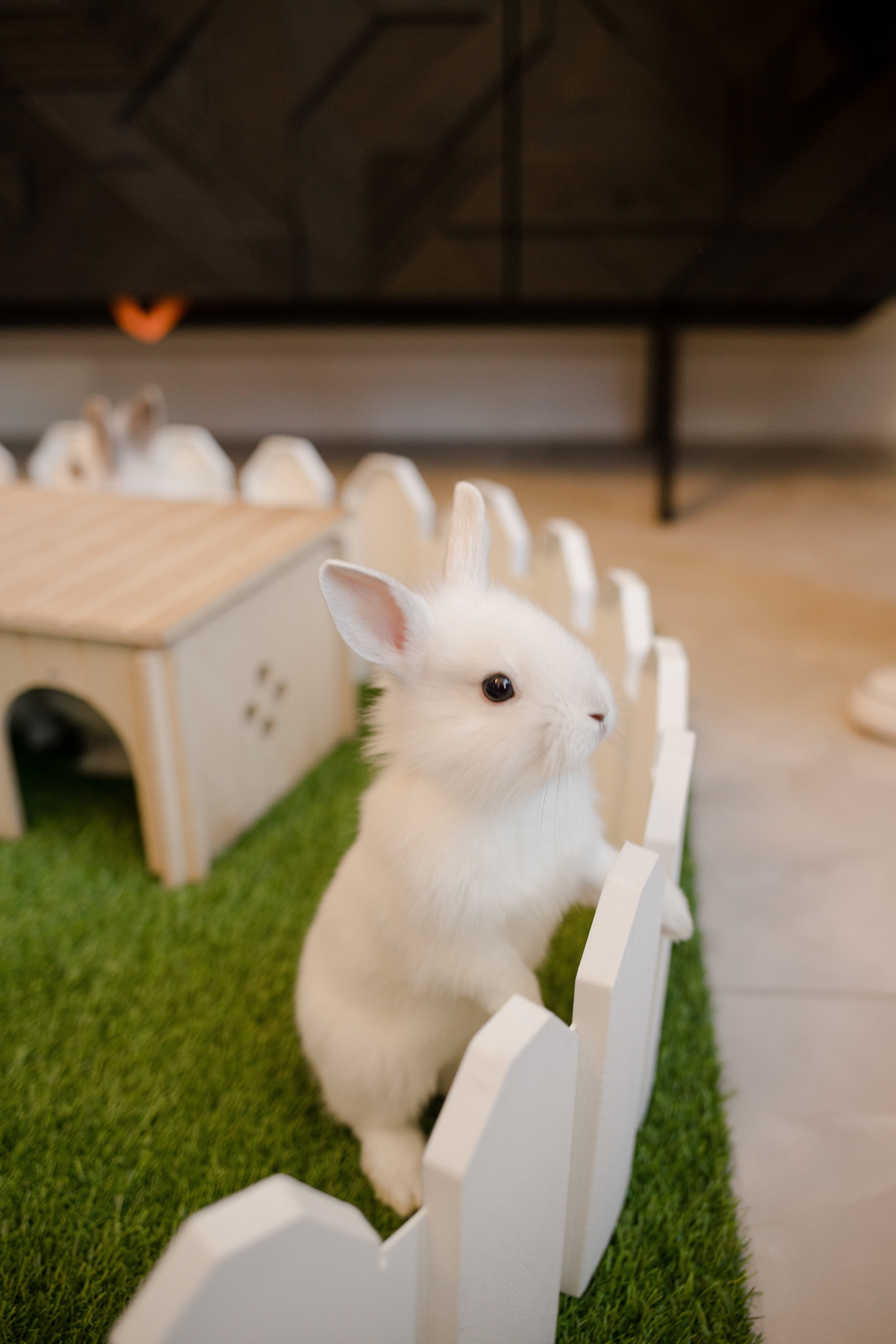 День рождения Леонида. Семейный и детский фотограф в Москве Кузьмина Мария