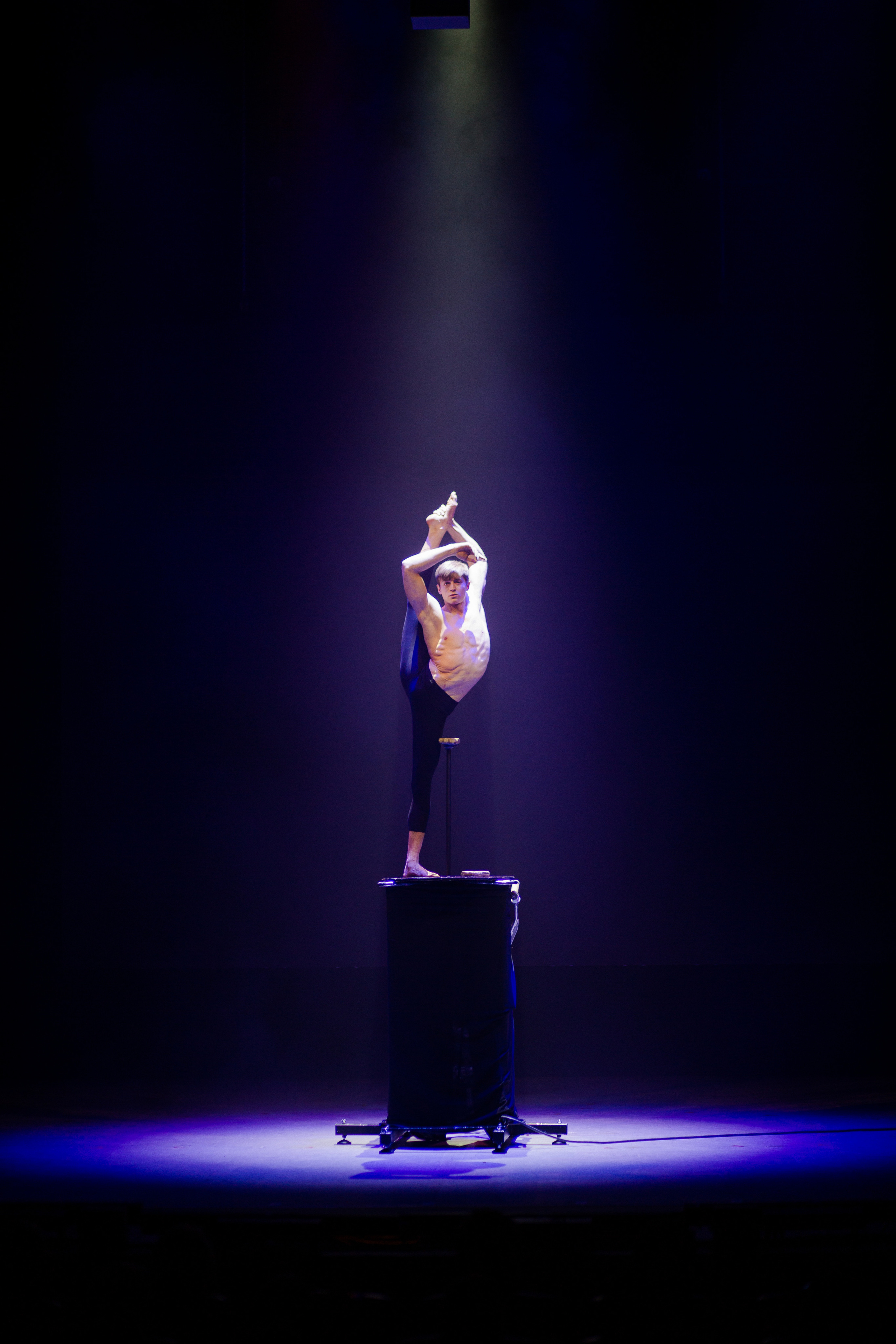 Юбилей Ефима Шифрина. Семейный и детский фотограф в Москве Кузьмина Мария