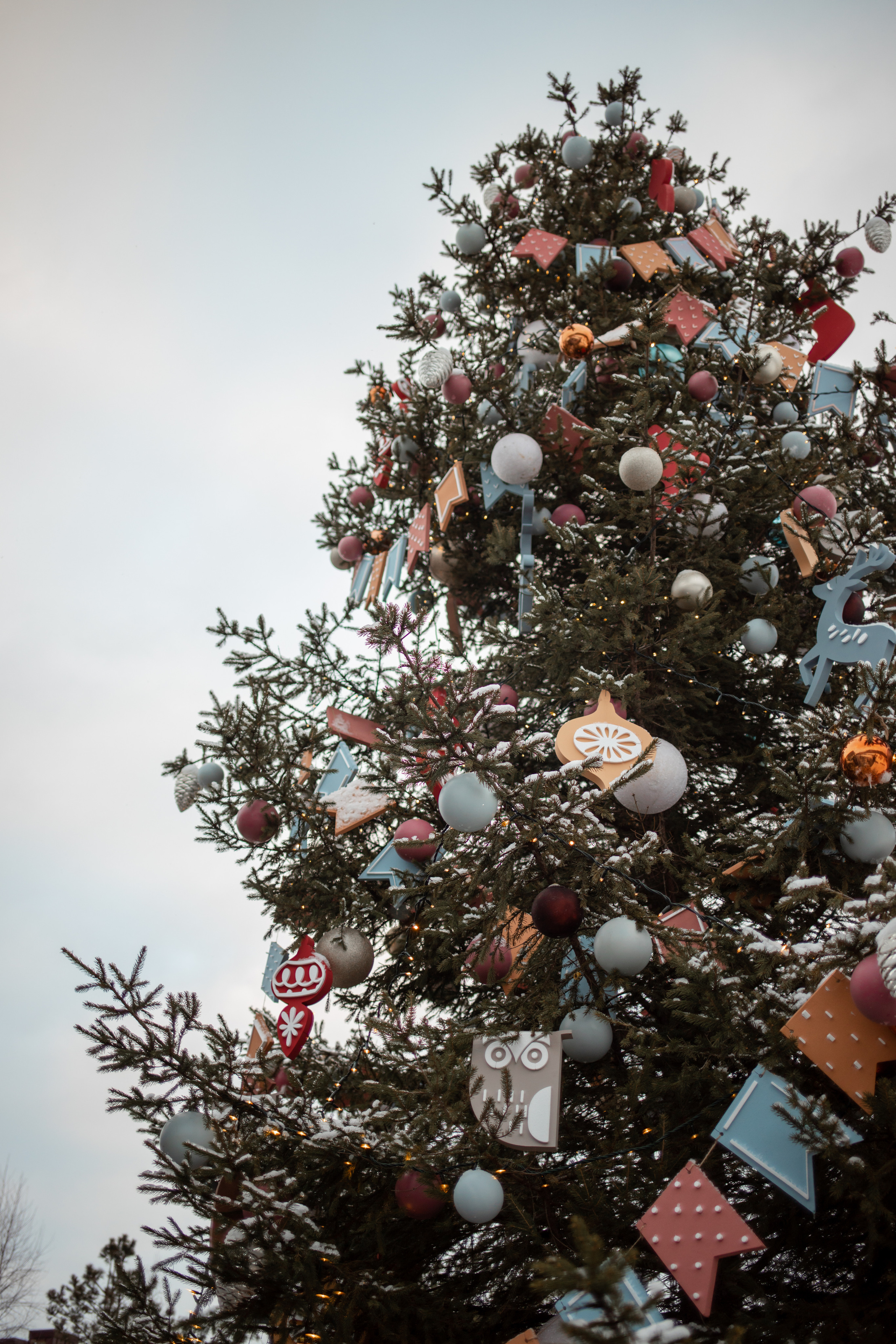 Каток The Rink. Семейный и детский фотограф в Москве Кузьмина Мария
