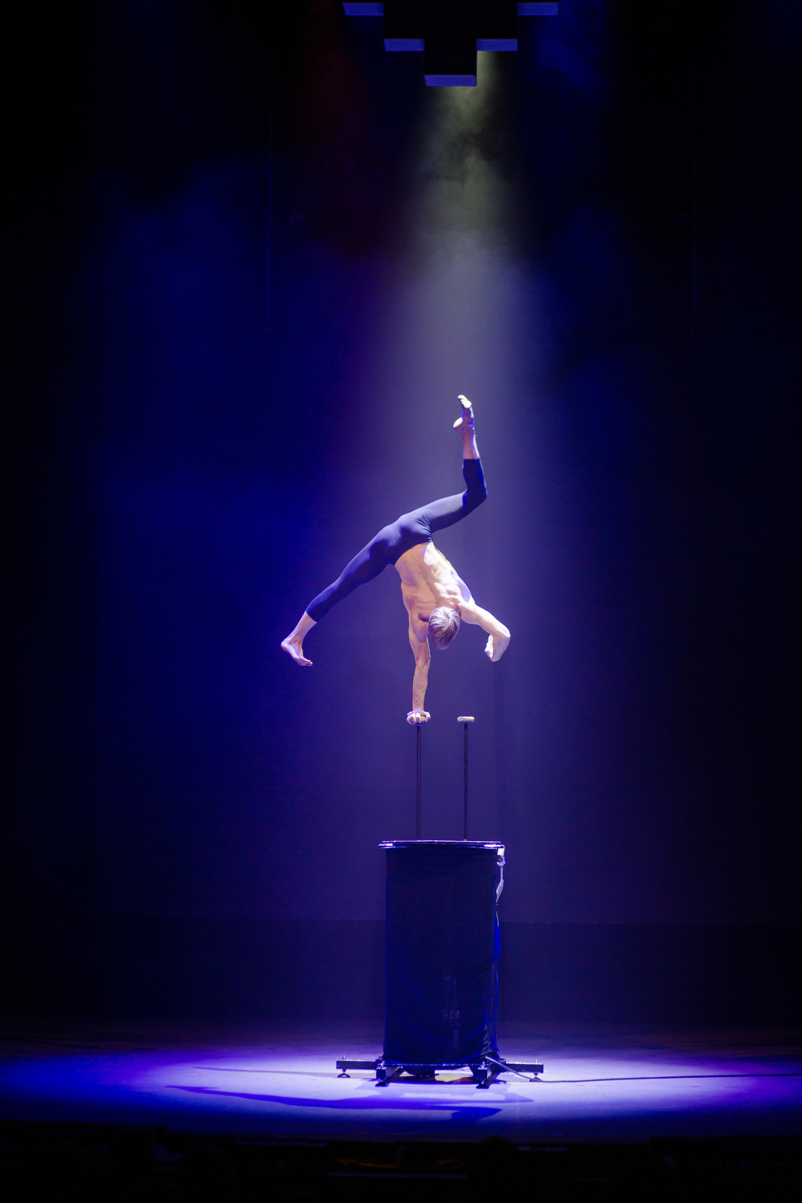 Юбилей Ефима Шифрина. Семейный и детский фотограф в Москве Кузьмина Мария