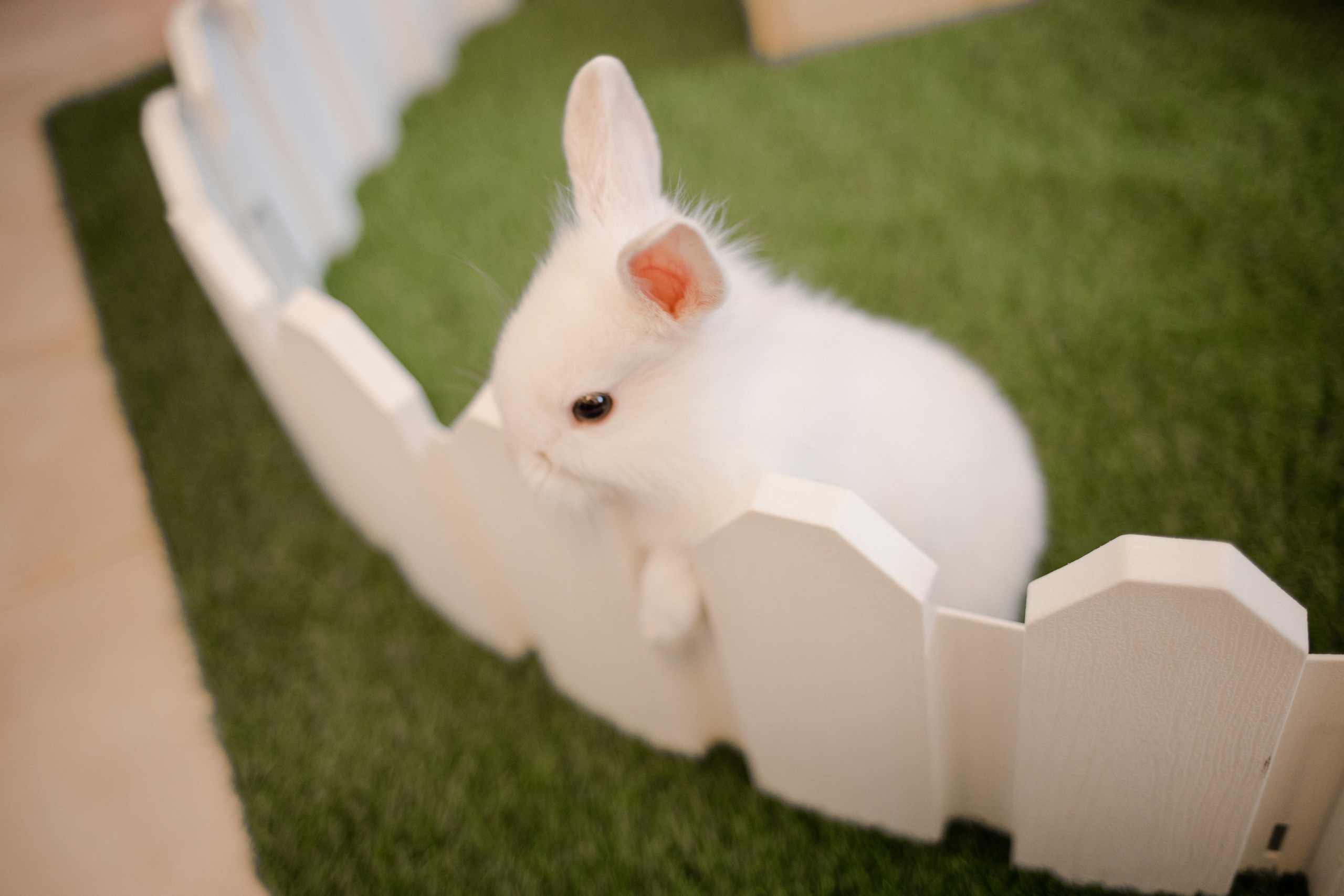 День рождения Леонида. Семейный и детский фотограф в Москве Кузьмина Мария