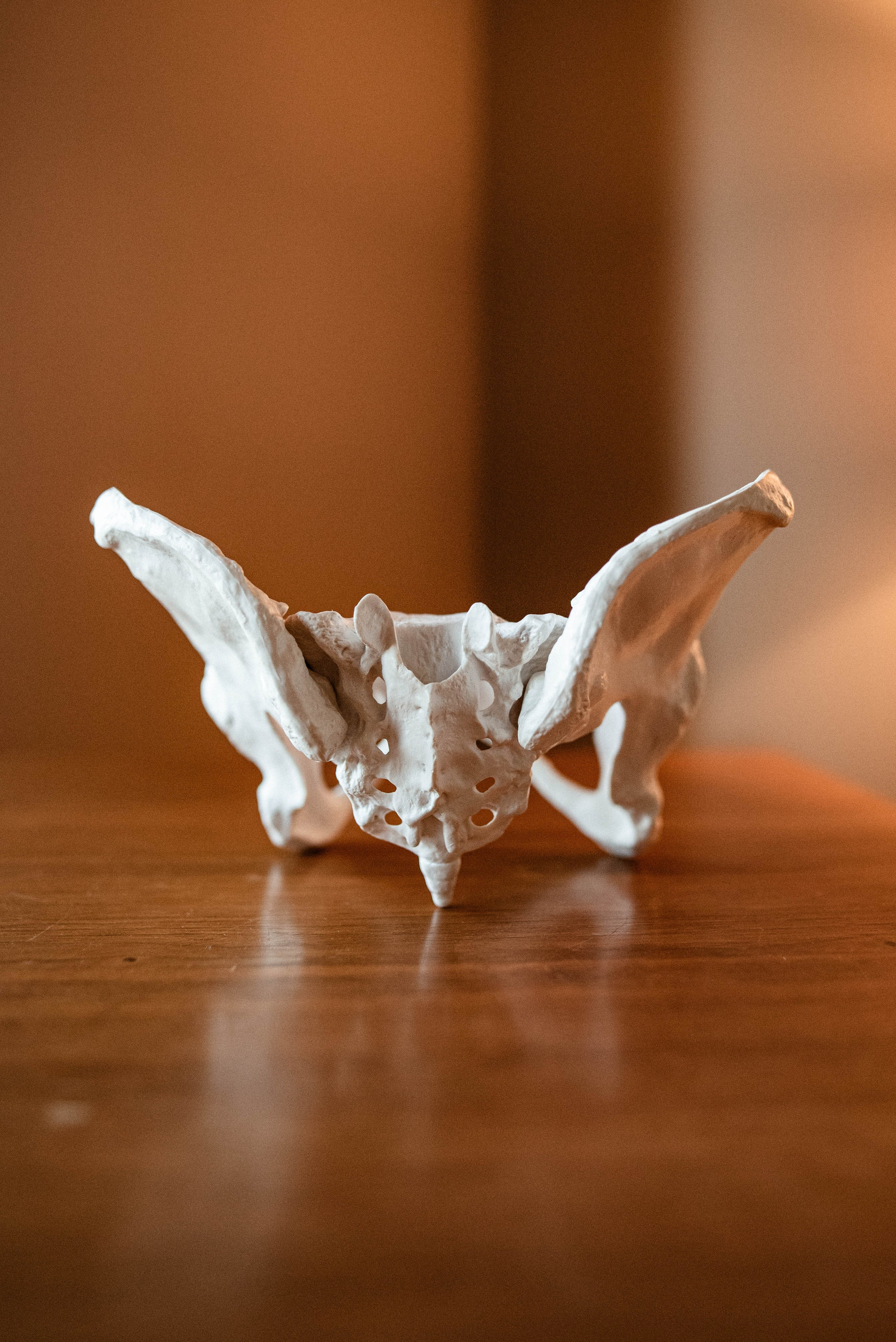 Доула. Семейный и детский фотограф в Санкт-Петербурге Татьяна Дмитренко