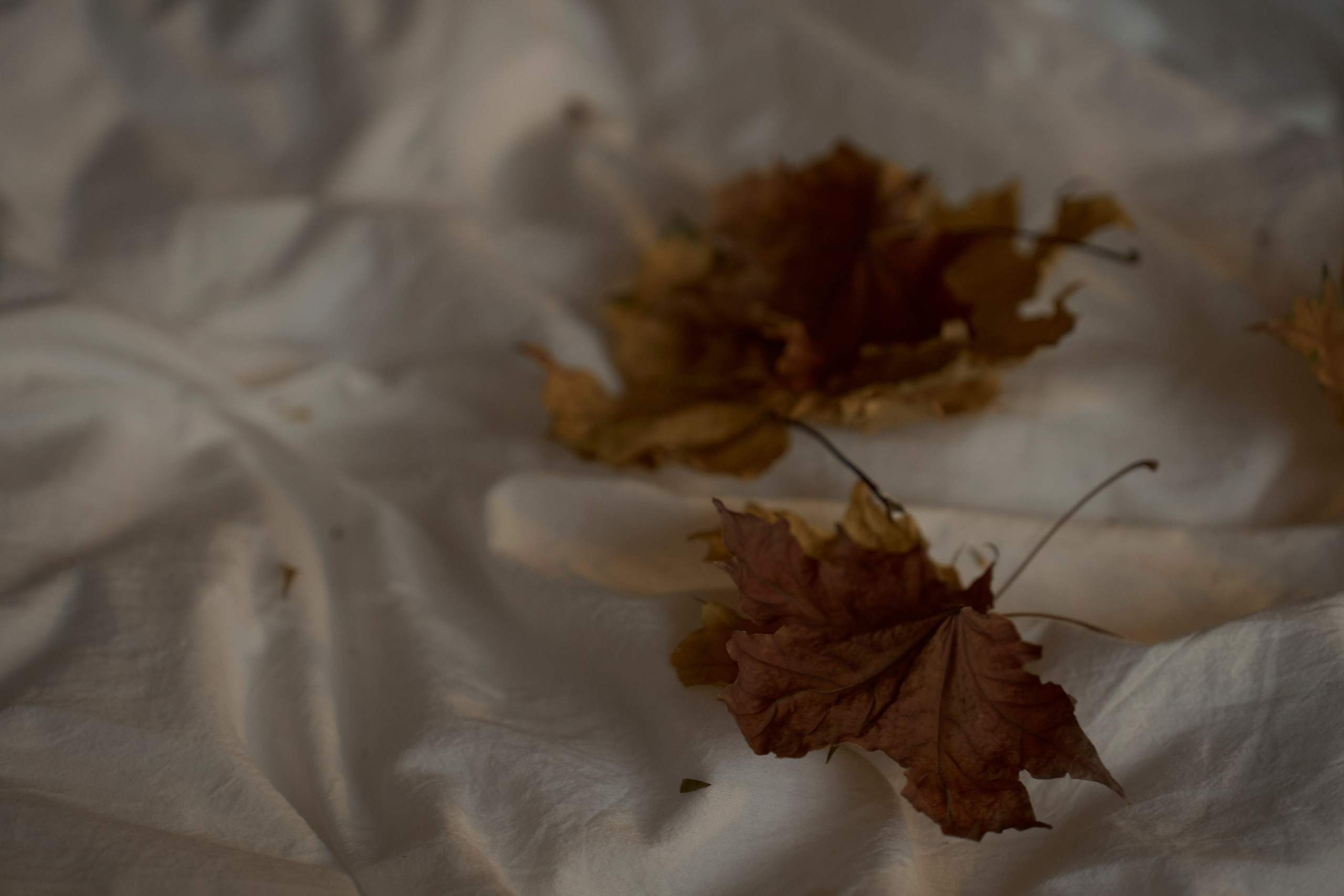 Моя сладкая любовь. Ваш фотограф Анастасия Болотникова