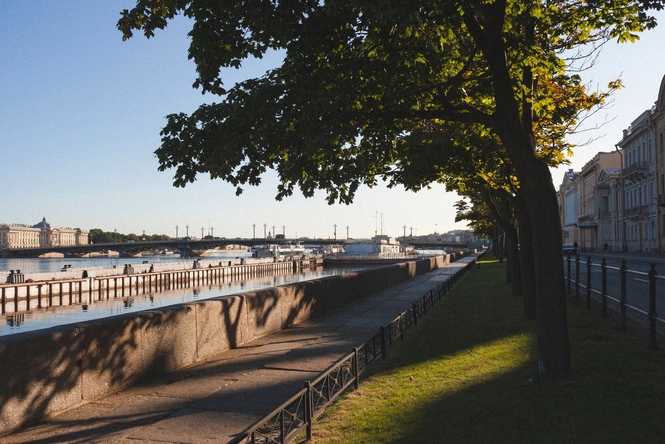 Фотовыставка в Санкт-Петербурге "А где ты гулешь с собачкой, если живешь в центре?"